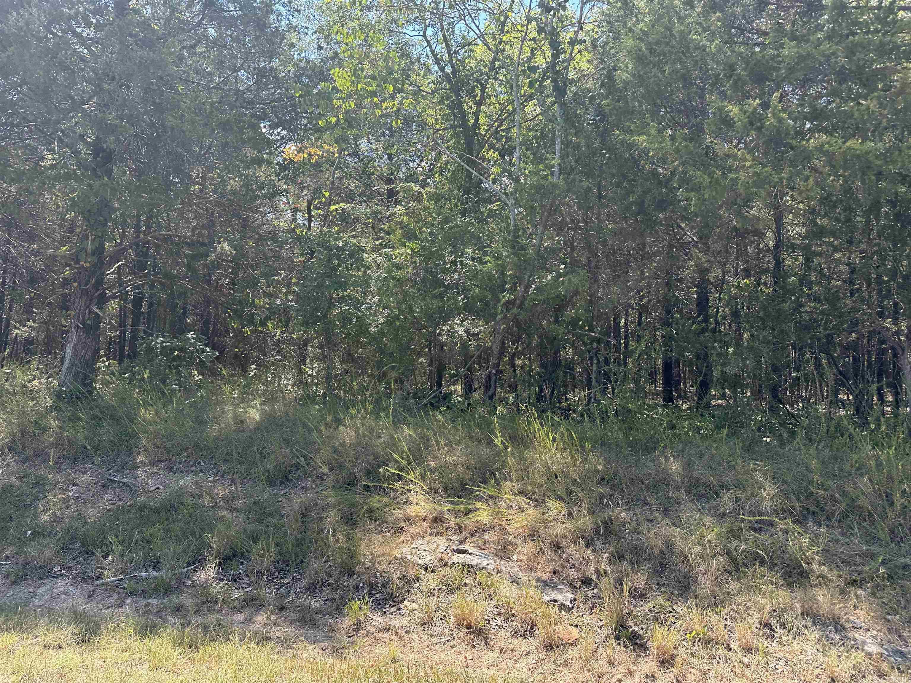 2.5 acre m/l tract in Peel, AR. This property offers easy access and convenient location, just minutes from Bull Shoals Lake and area amenities. Mostly wooded with plenty of room to build your home, cabin or weekend retreat. Great opportunity to own land in the heart of the Ozarks!