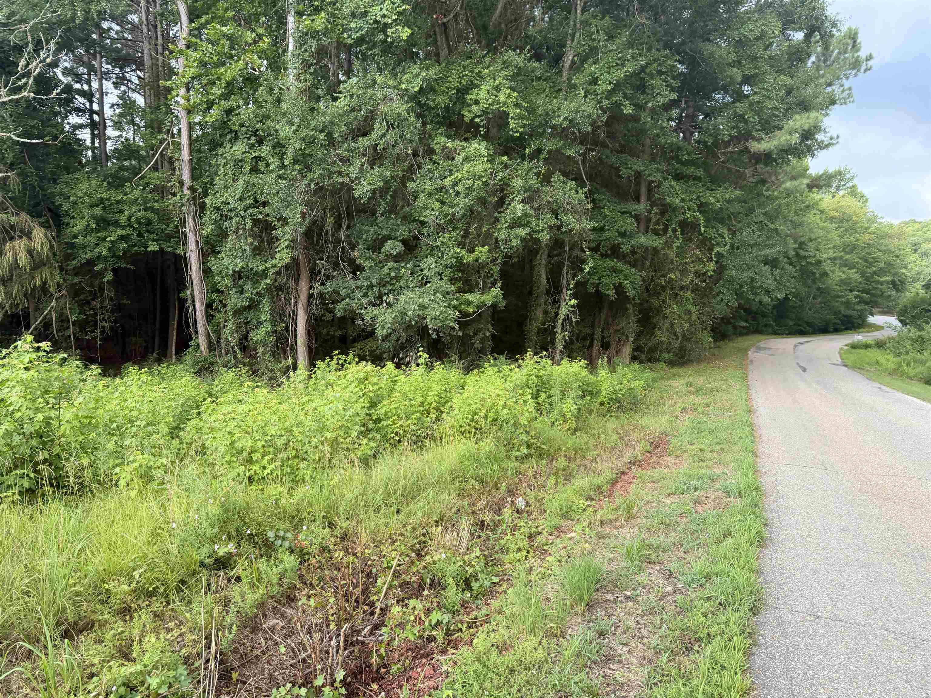 Check out this 2.31-acre lot located on Dawson Road in Benton! This mostly wooded, sloping property offers privacy and a natural setting while still providing convenient access via a paved road. The terrain is ideal for a custom home with the potential for privacy. Enjoy the peaceful feel of country living with the convenience of being just minutes from shopping, dining, schools, and all that Benton has to offer. Don't miss this opportunity to own a homesite minutes from the interstate or downtown!