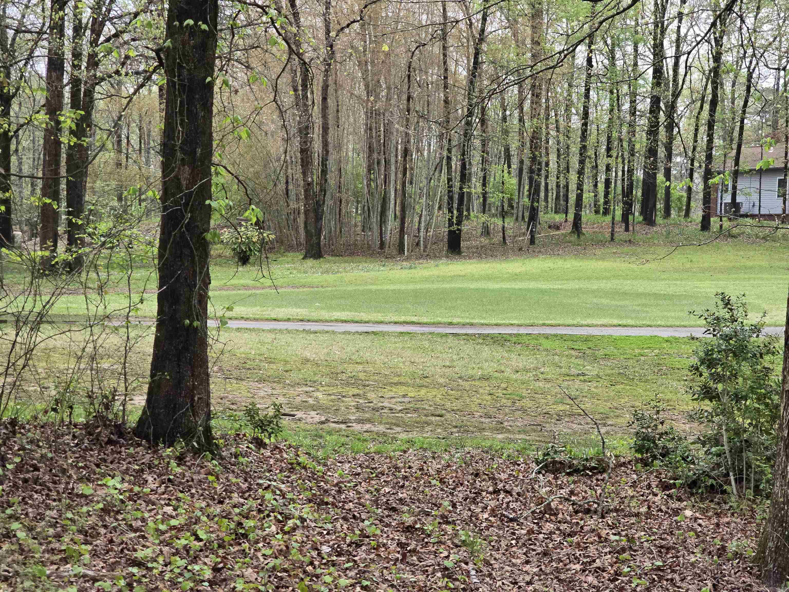 overlooking 6th fairway with beautiful views! Come join the fun live in Diamondhead, (a small town community) with lots to offer. Lake access, golfing, tennis, pickleball, swimming, community library, community activities. Close to Hot Springs & Lake Catherine State Park with hiking water falls and park programs. Ask listing agent for builder information.