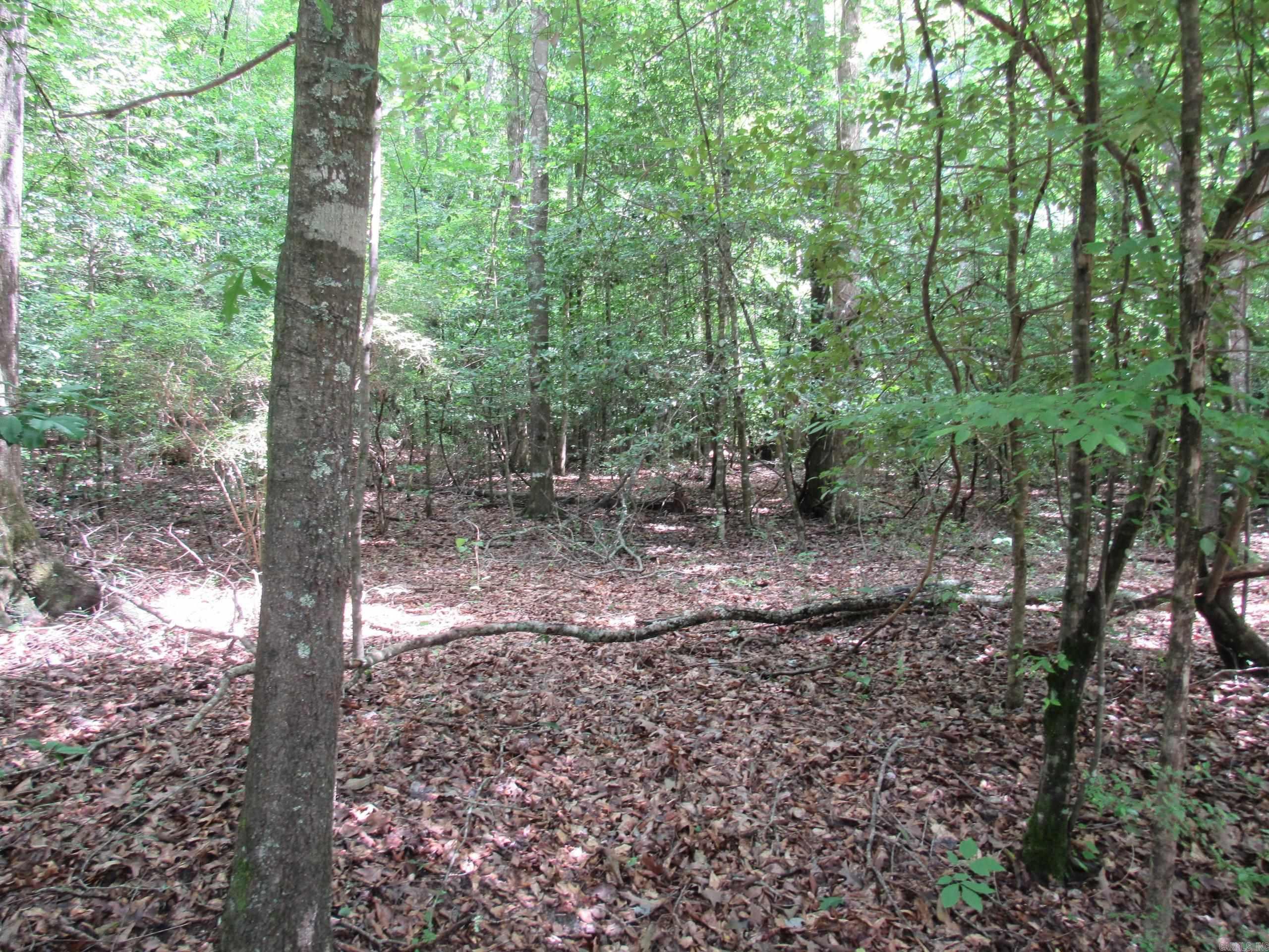Not in Subdivision - Land