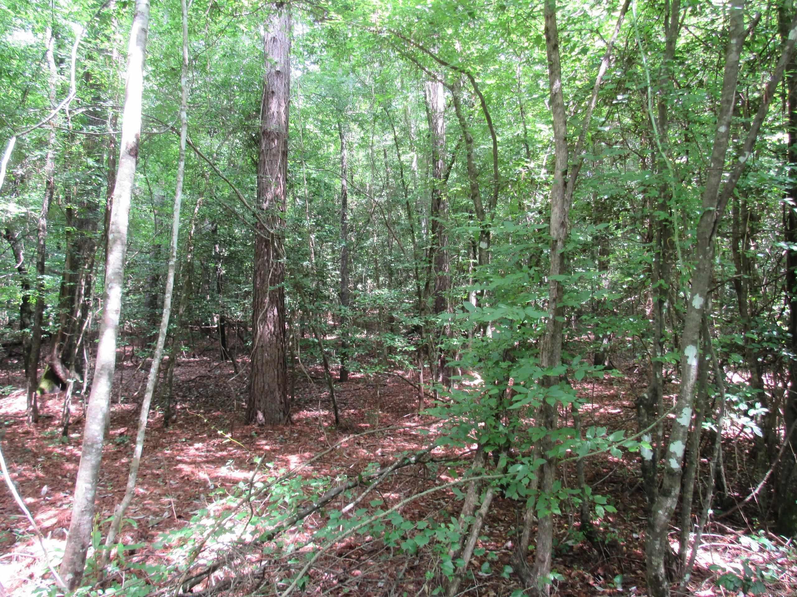 Not in Subdivision - Land