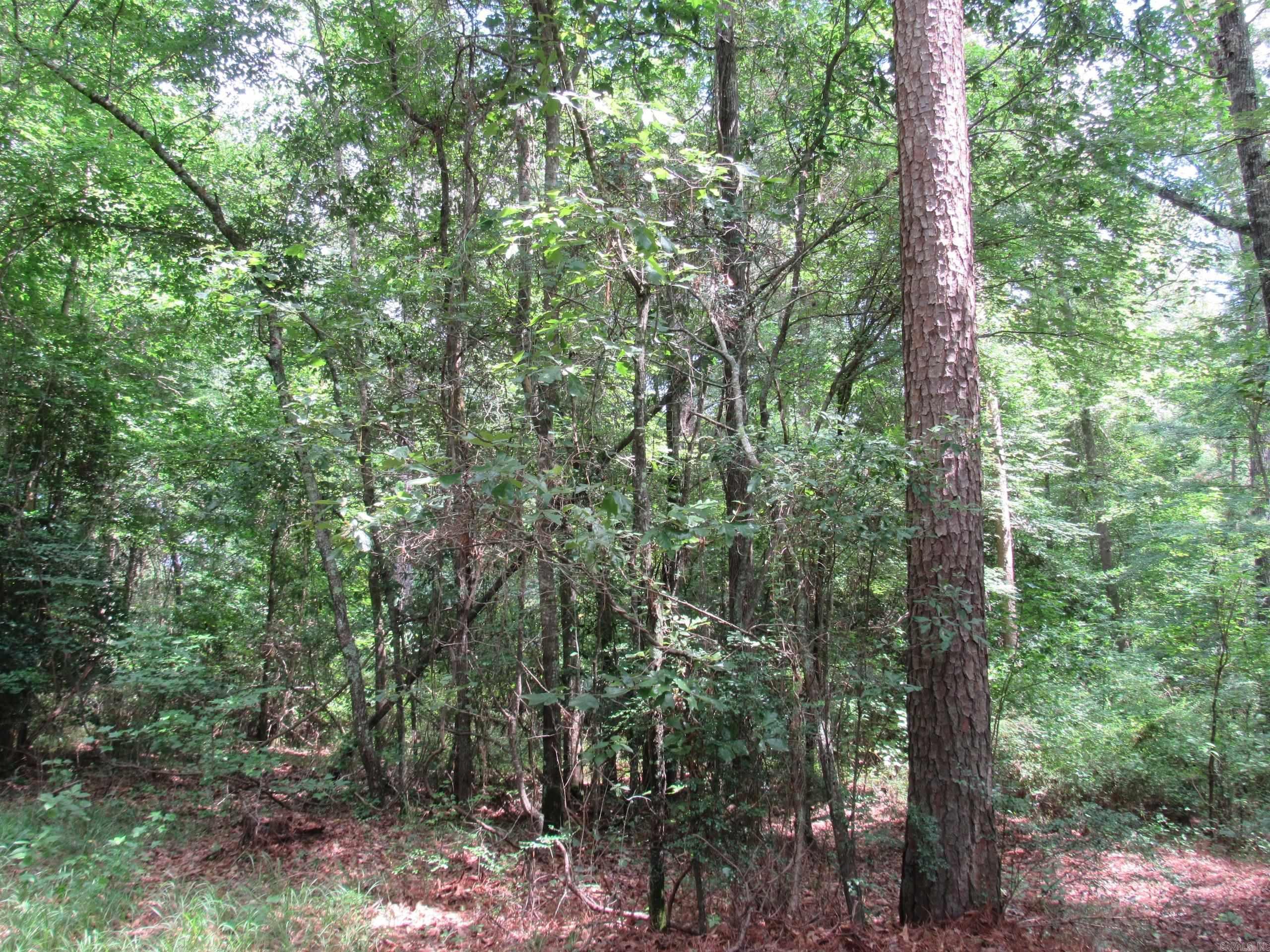 Not in Subdivision - Land