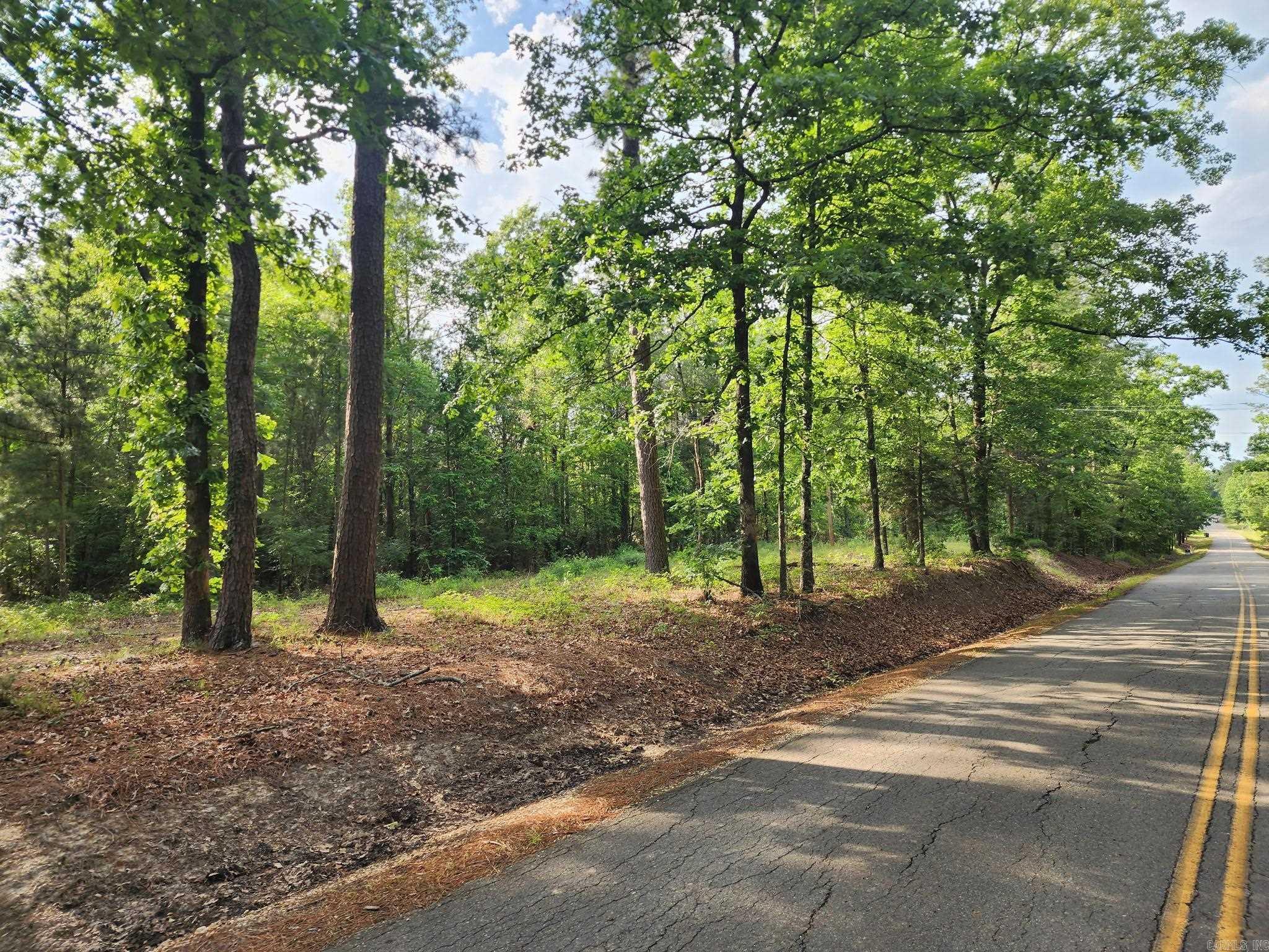 Have you been searching for the perfect spot to build your dream home? This is it! With frontage on Southfield Rd., this 20 acre tract would give you a prime home site plus lots of room for privacy or future development. This property is located in Parkers Chapel School District. Timber on this property was cut approximately 15 years ago. Mineral rights do not convey.