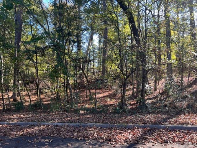 Looking to build, take a look at these lovely lots located on Mockingbird Lane.  Buy one or multiple with 4 in a row to choose from. They are priced to sale and Perfect for individuals wanting to build their dream home or investors ready to build a spec home.  Call today for more information. Square footage, lot size, and acreage is taken from courthouse records.