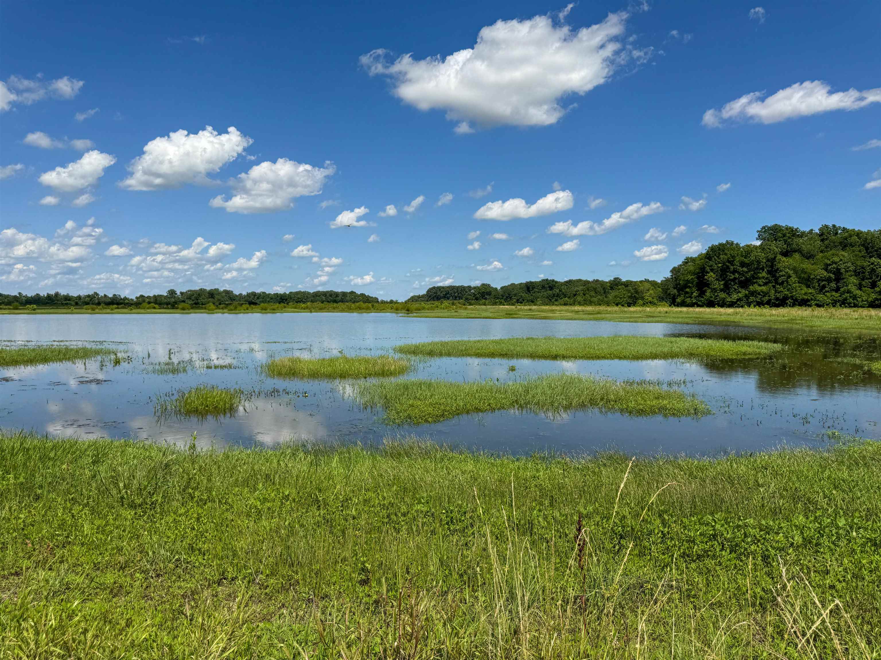 Nestled between the Black and Strawberry Rivers, this 525± acre WRE property is one of the most dynamic waterfowl tracts in the Arkansas Delta. With over 350± acres of managed water, five independently gated pools, and professionally engineered levees, the farm is designed for precision water control and consistent duck use season after season. Moist-soil vegetation, native grasses, and natural food sources support exceptional habitat within the heart of the Mississippi Flyway. Wildlife mounds create ideal blind sites and vantage points, and interior roads allow easy access between impoundments. One of the primary levees also offers potential use as a backcountry aircraft runway, where permitted, adding a unique access opportunity for aviation-minded buyers. Approximately 6 acres along the Strawberry River offer space for an off-grid lodge or cabin site for buyers seeking a private basecamp. Neighboring the renowned Stan Jones’ Hogback Farms and positioned near Rainey Brake WMA, this rare offering blends recreation, conservation value, and legacy-level waterfowl opportunity in one remarkable Delta property.
