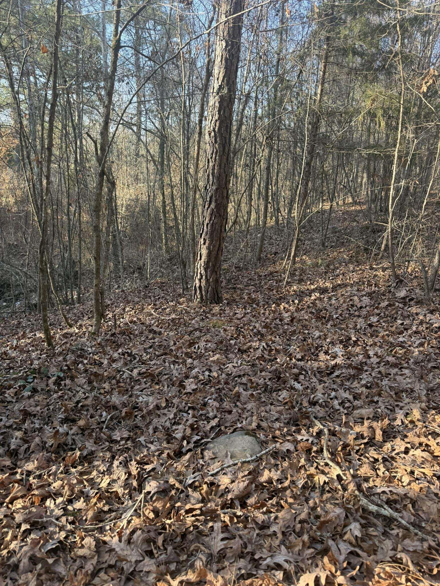 OLD FACTORY SITE ESTATES - Land