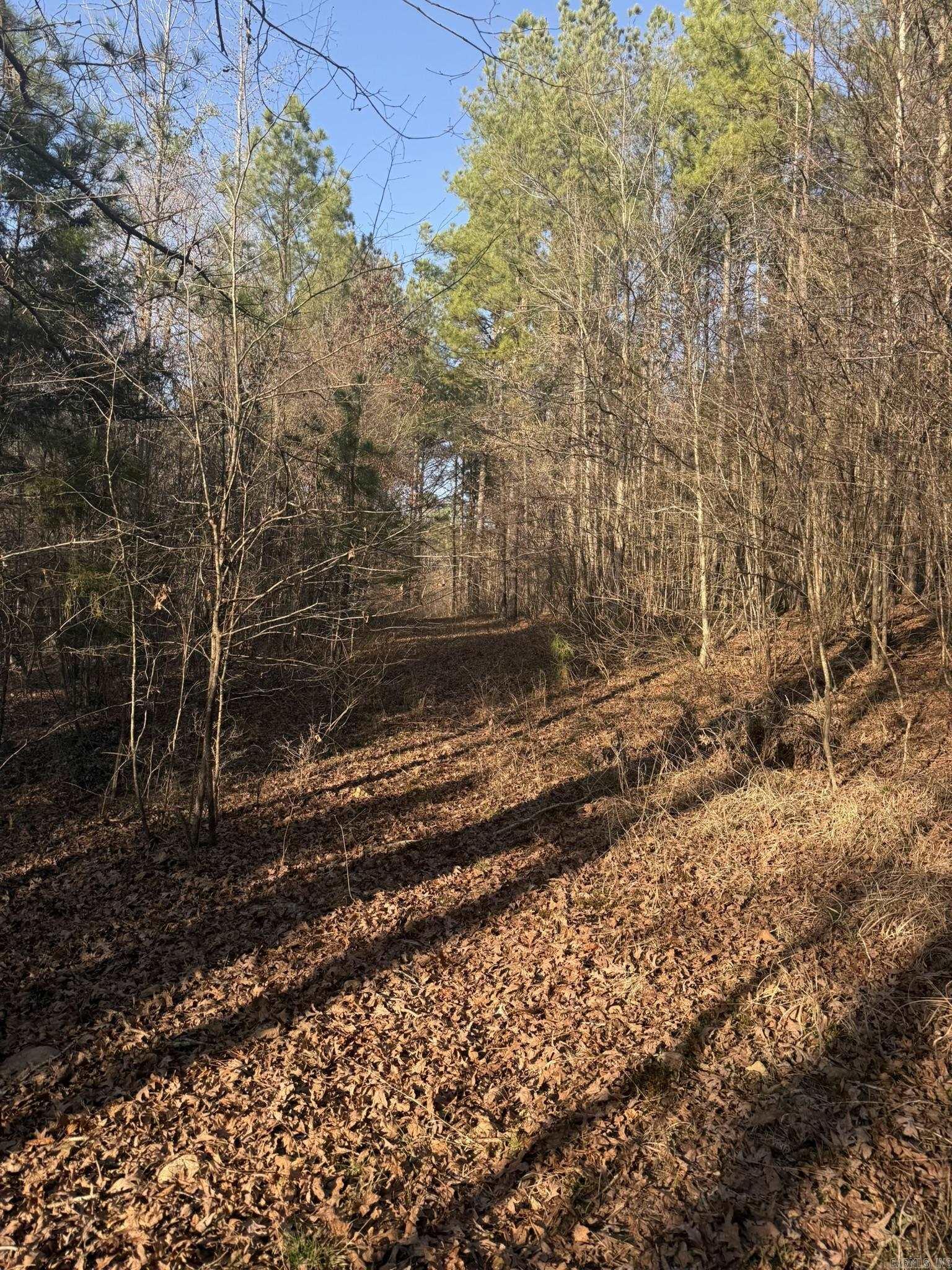 OLD FACTORY SITE ESTATES - Land