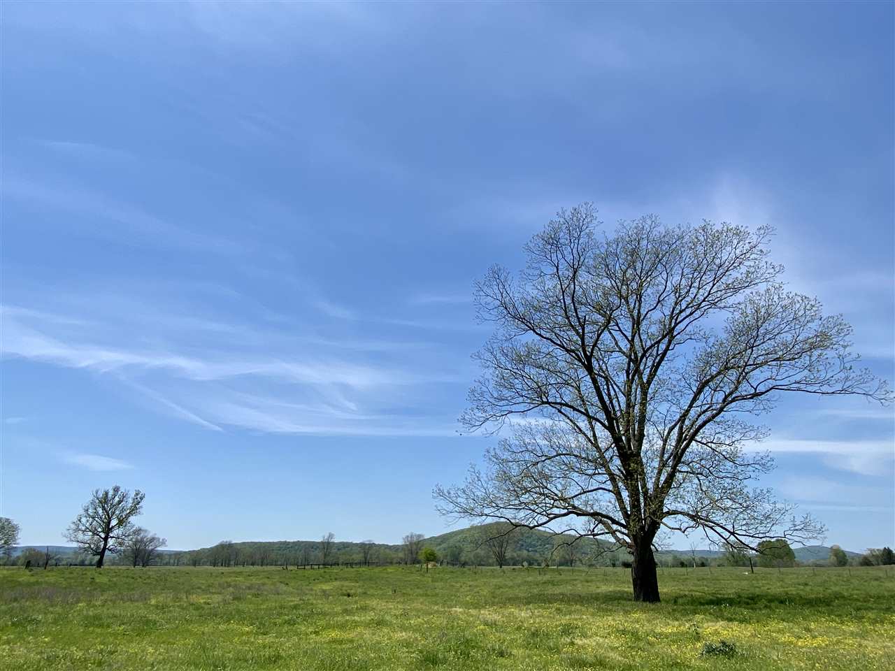 Batesville Acres - Farm