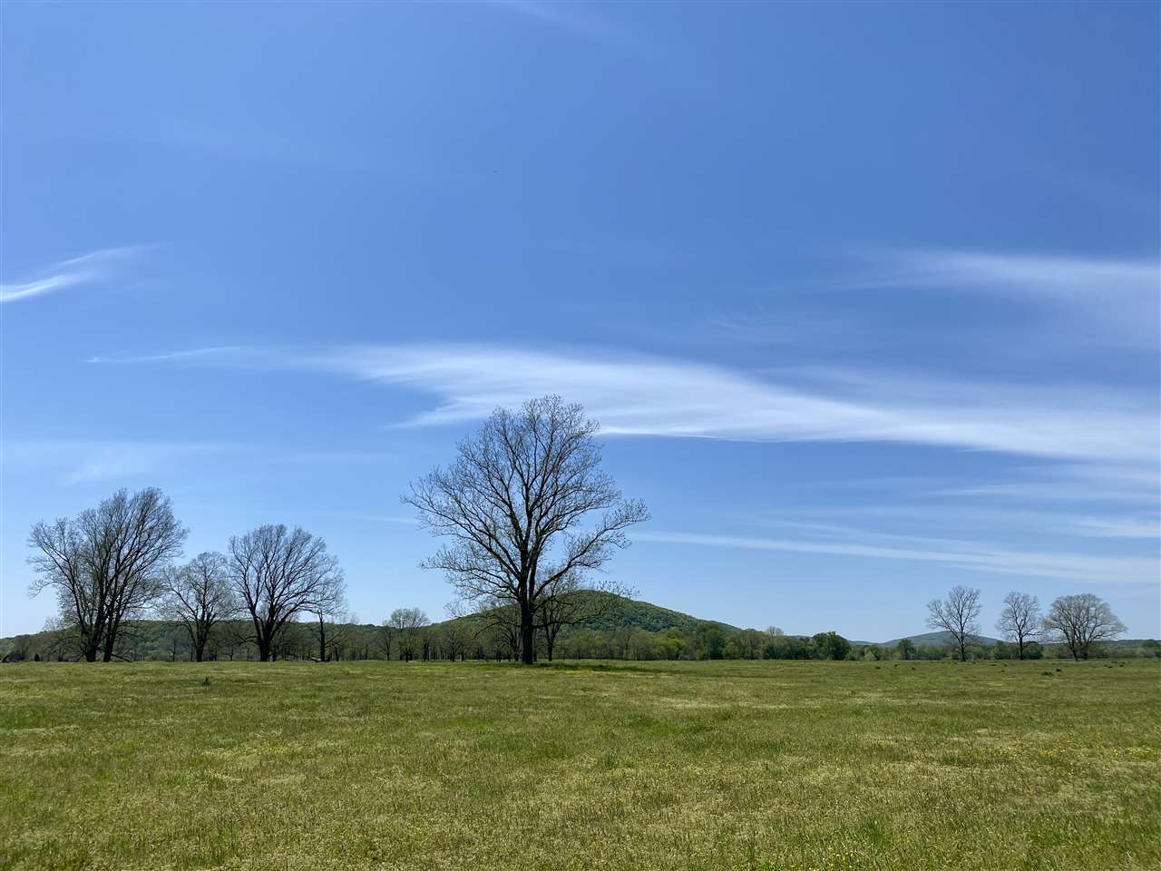 Batesville Acres - Farm