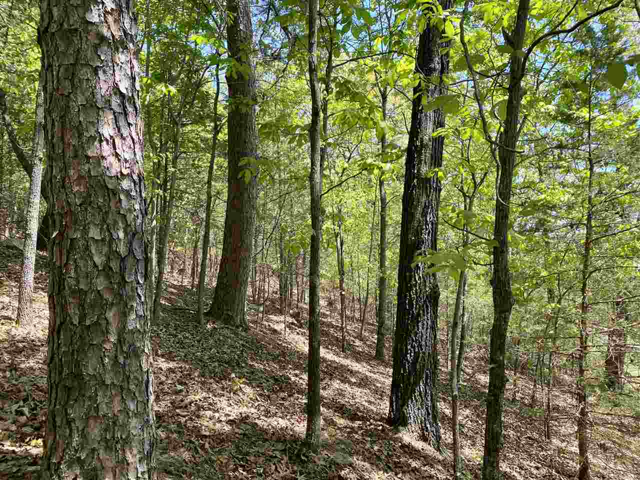 Batesville Acres - Farm