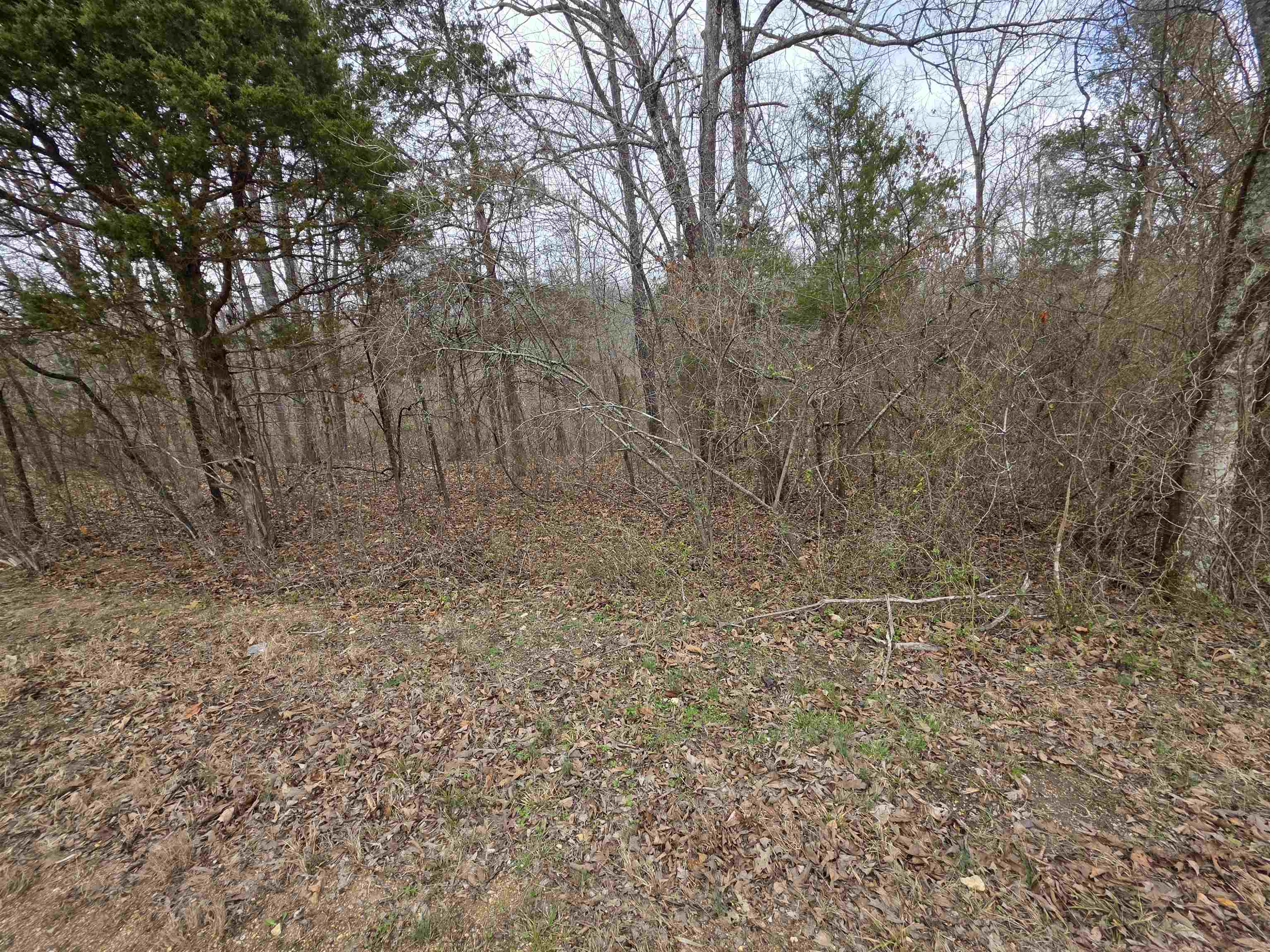 Nice lot on Summit Ridge Rd. One of the main throughfares in Ozark Acres. This lot has great road frontage and a gentle downslope down to a small valley and powerline easement. Power and water are available at the street. Schedule some time to ride out and get a look at this lot and pick your spot to build you vacation cabin, a winter home or even your forever home. Ozark Acres has 2 lakes and is located just down the road from Ole Hardy town for great shopping, dining and entertainment. Not to mention the beautiful Spring River. There are 5 other lots available as well all right next to each other.