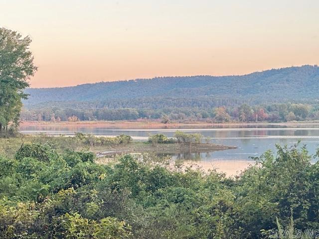Lakefront/Lakeview Acreage that adjoins the Greers Ferry COE Whiteline.  This property is a must see with more acreage available and only 2 miles to Choctaw Marina and 5 minutes to Walmart. No restrictions and utilities available from Clinton Water and Petit Jean Fiber and Electric.