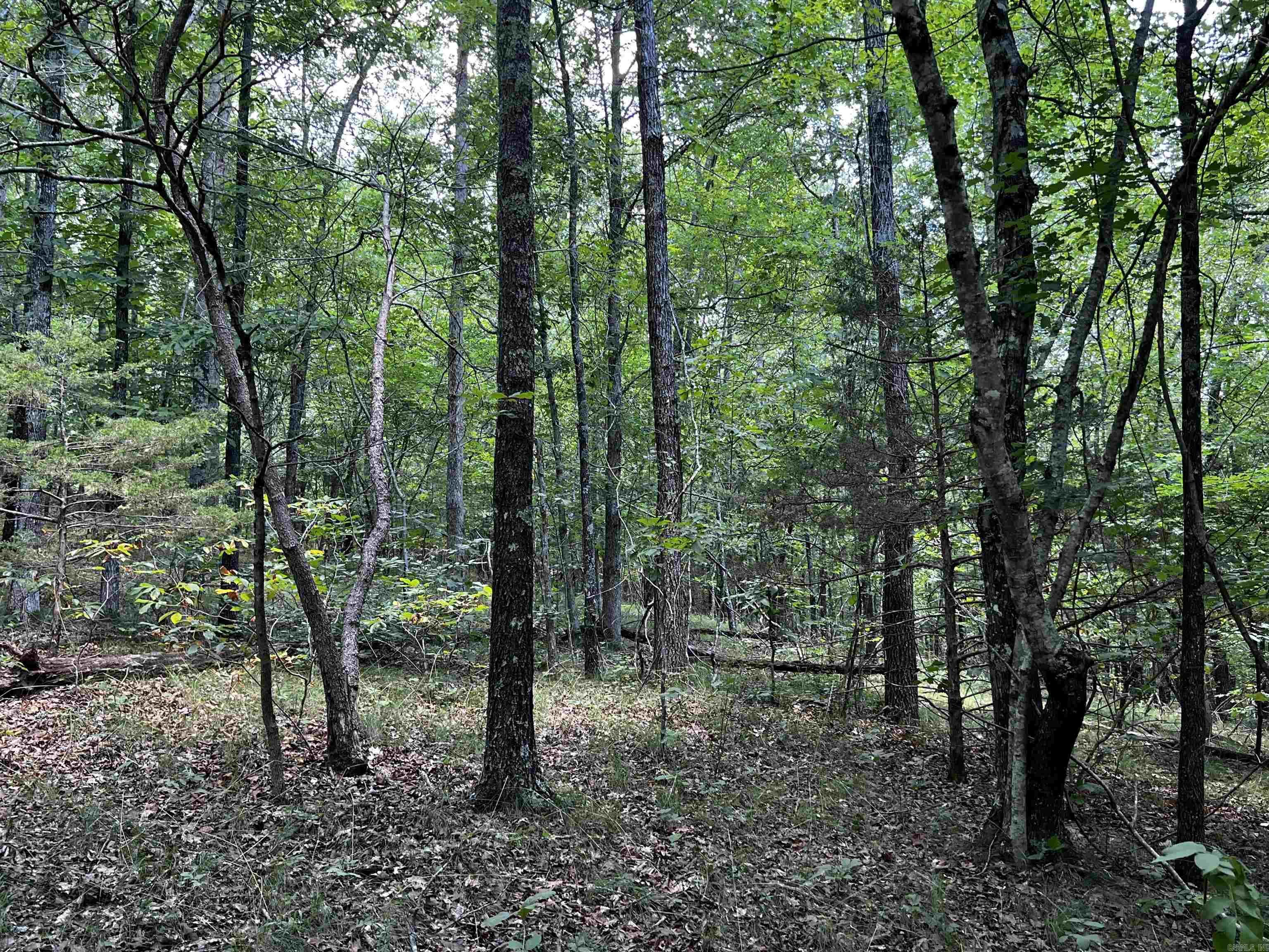 01-08-10 - Land