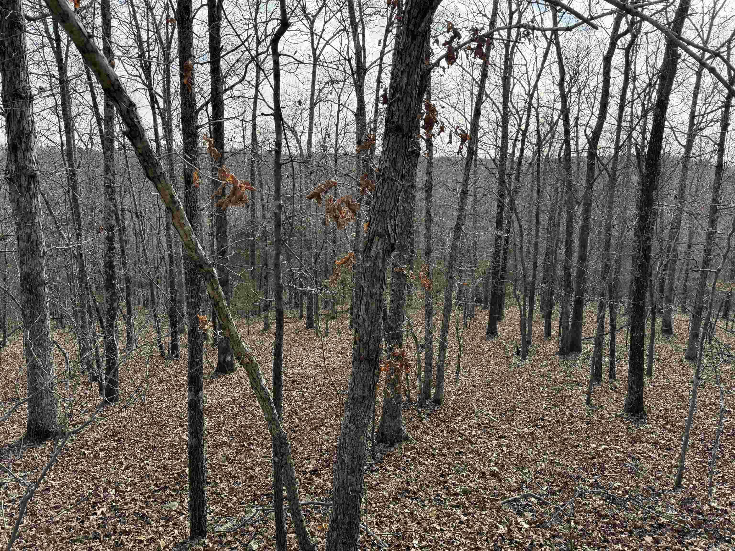01-08-10 - Land