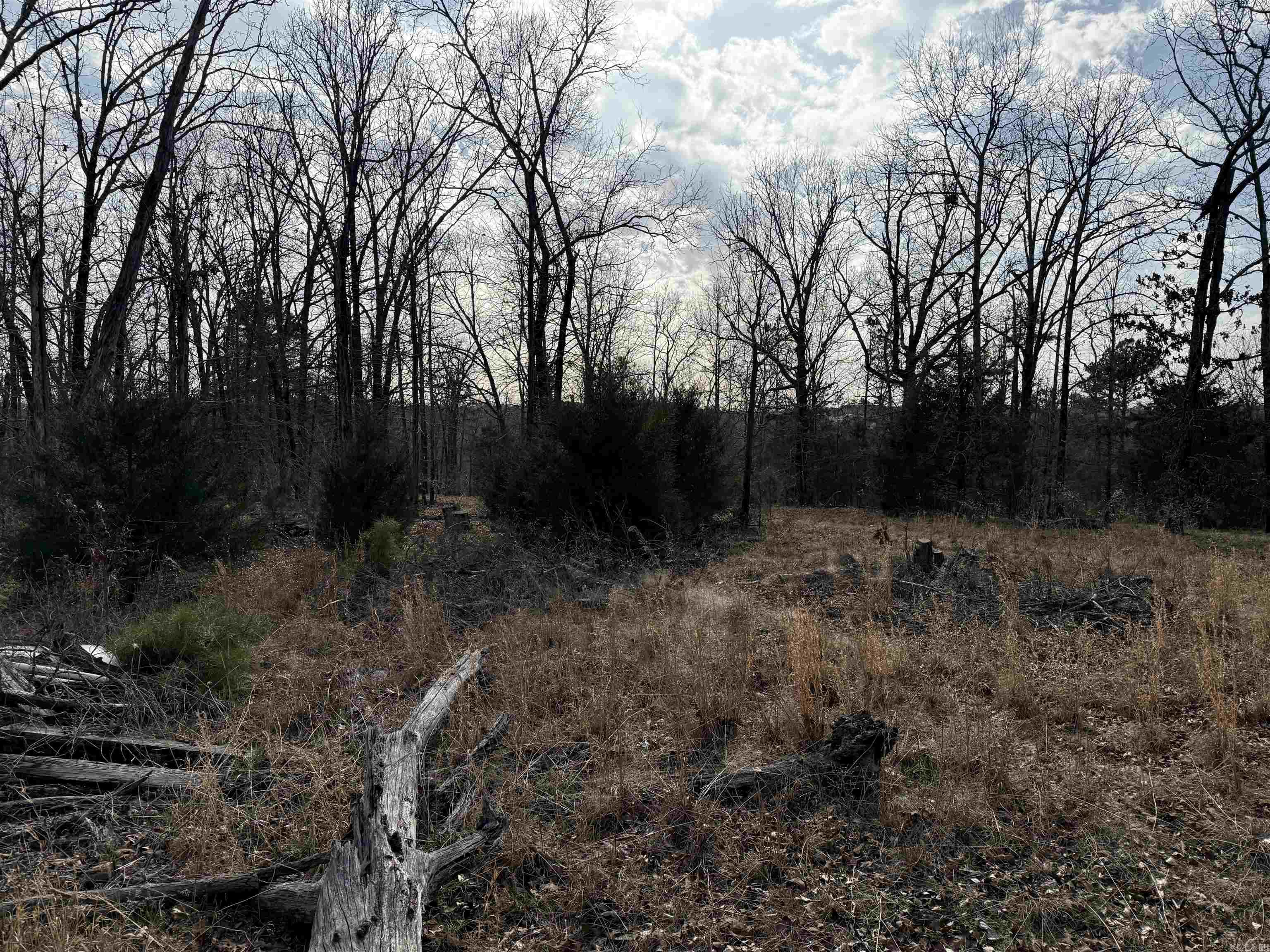 01-08-10 - Land