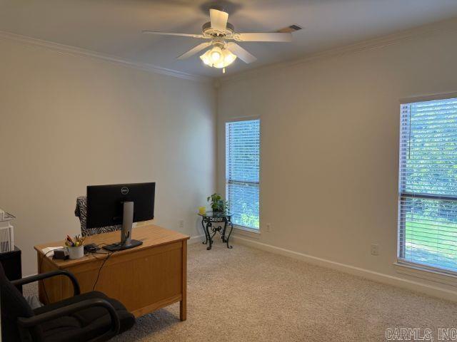 SPRINGLAKE ACRES - Residential