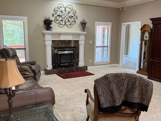 SPRINGLAKE ACRES - Residential
