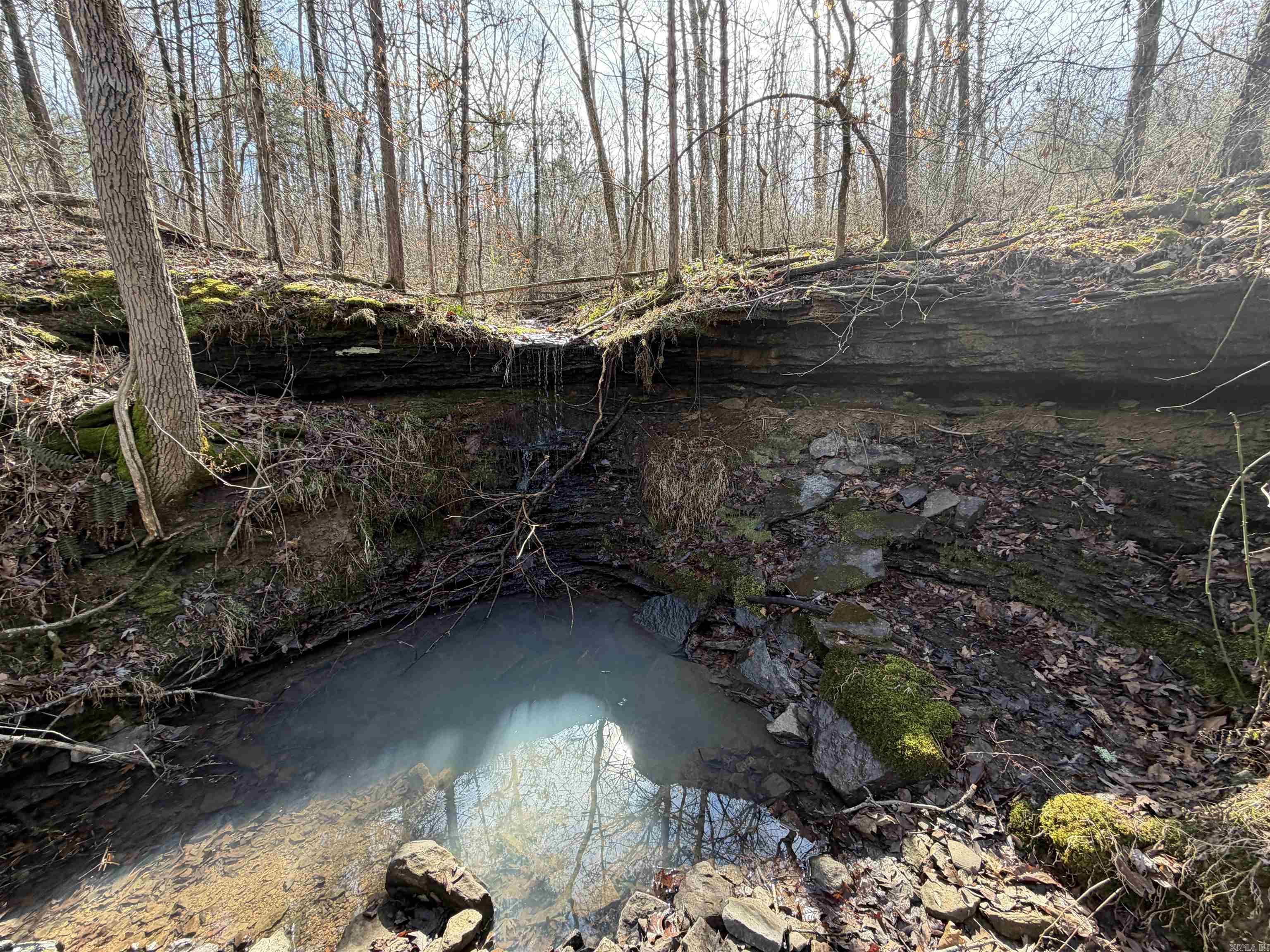 54+/- acres located off Peel Road in Shirley, Arkansas. This beautiful tract of large, mature timber offers privacy, recreation, and multiple potential homesites. Hunting on this piece is amazing!!  A recorded easement will provide utilities and ingress/egress. Mineral rights do not convey. The property features an established system of ATV/UTV trails thoughtfully placed throughout, allowing you to fully enjoy and navigate the land. Drone footage and trail videos are available.  Beyond recreation, this property is ideal for building a cabin or full-time residence tucked into the hardwoods. The area is known for abundant wildlife, including whitetail deer and turkey. Located near Fairfield Bay, an ATV/UTV-friendly community (buyers to verify regulations), offering the unique ability to ride into town, restaurants, and surrounding areas. Properties like this are rare in this area. Whether you’re seeking hunting land, a recreational retreat, or a private homesite, this tract offers excellent opportunity.Seller is retaining all mineral rights to property.