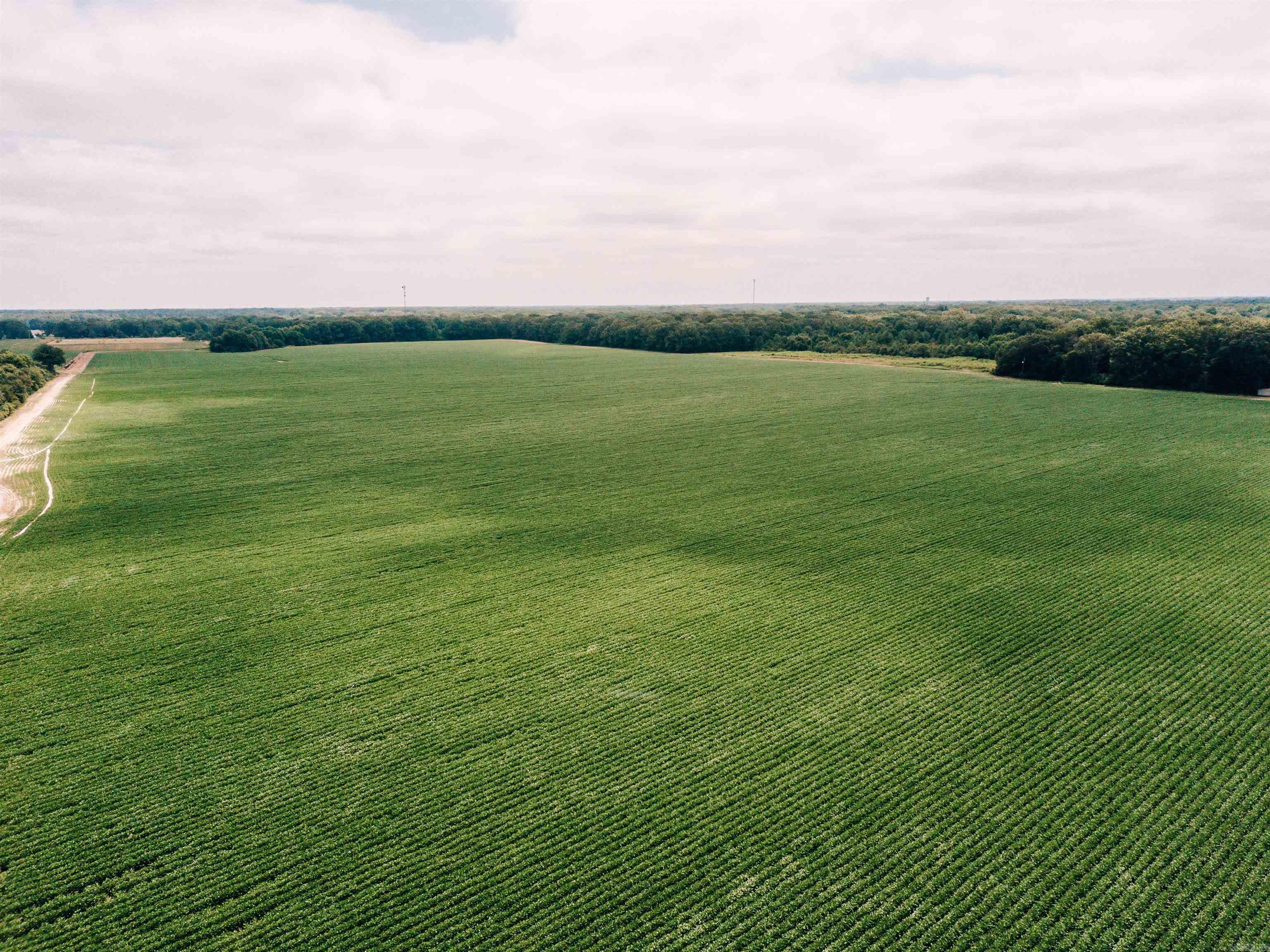 Not in Subdivision - Farm