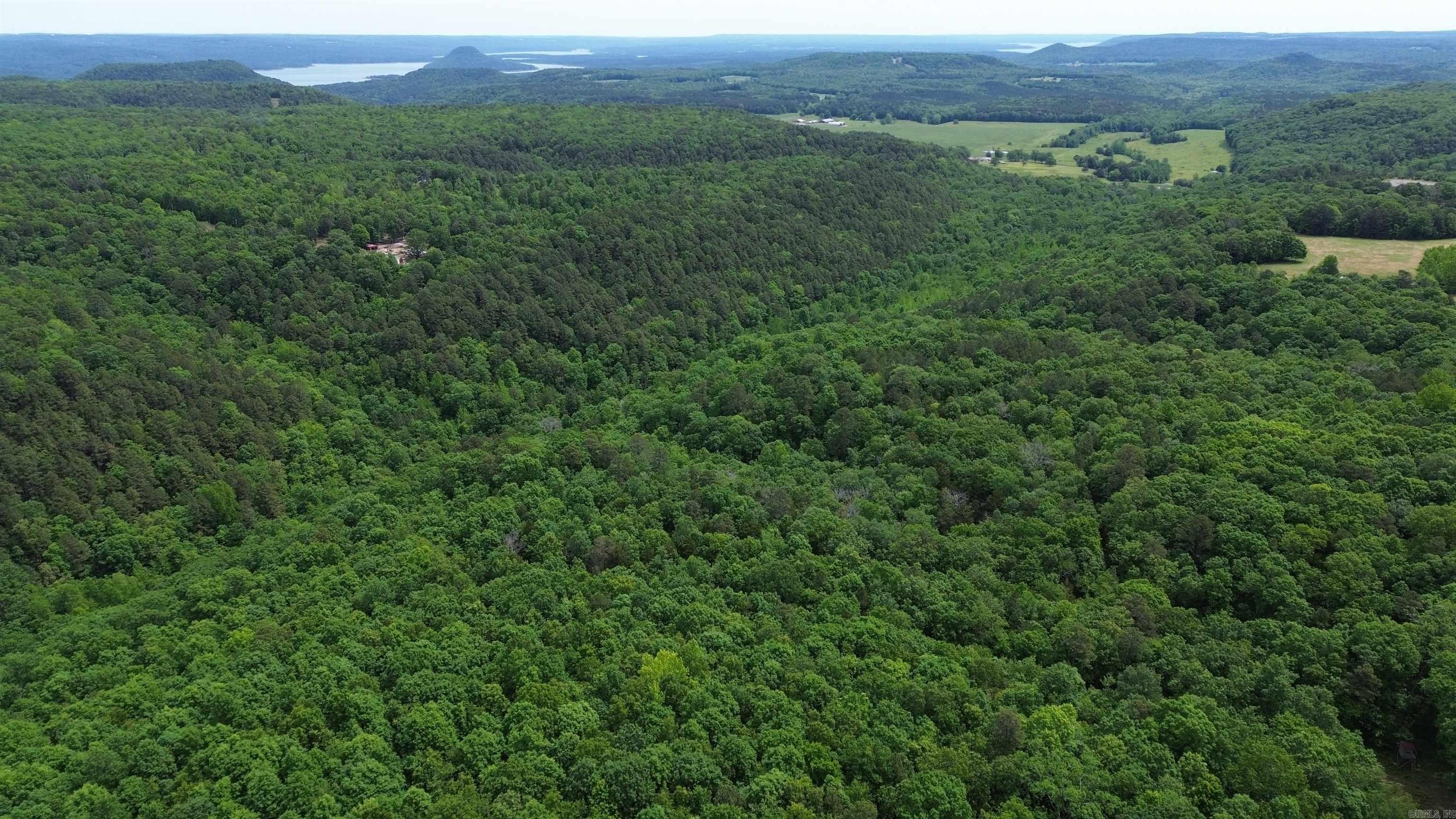 80± Acres Recreational Timberland – Prime Hunting & Outdoor Retreat  Escape to this beautiful 80± acre tract of recreational timberland, perfect for anyone who loves the outdoors. The property features a great mix of pine and hardwood timber, scenic rock outcroppings, and a wet-weather creek that adds to the landscape and helps attract wildlife.  If you enjoy hunting, you’ll appreciate the abundance of whitetail deer, turkey, bear, and plenty of small game, making this a great spot to spend time year-round. A ridgetop offers an ideal place for a weekend cabin or even a future home, with some clearing there is potential to open up some really nice views.  Conveniently located between Clinton and Conway, Arkansas, you’re just about 15 miles from Choctaw Recreation Area on Greers Ferry Lake for fishing, boating, and water sports, and 15 miles into Clinton for everyday essentials and dining. Enjoy the peace and tranquility the Ozarks have to offer. Mineral rights do not convey.  Whether you’re looking for a hunting getaway, a place to unwind, or land to build on down the road, this property has a lot to offer.