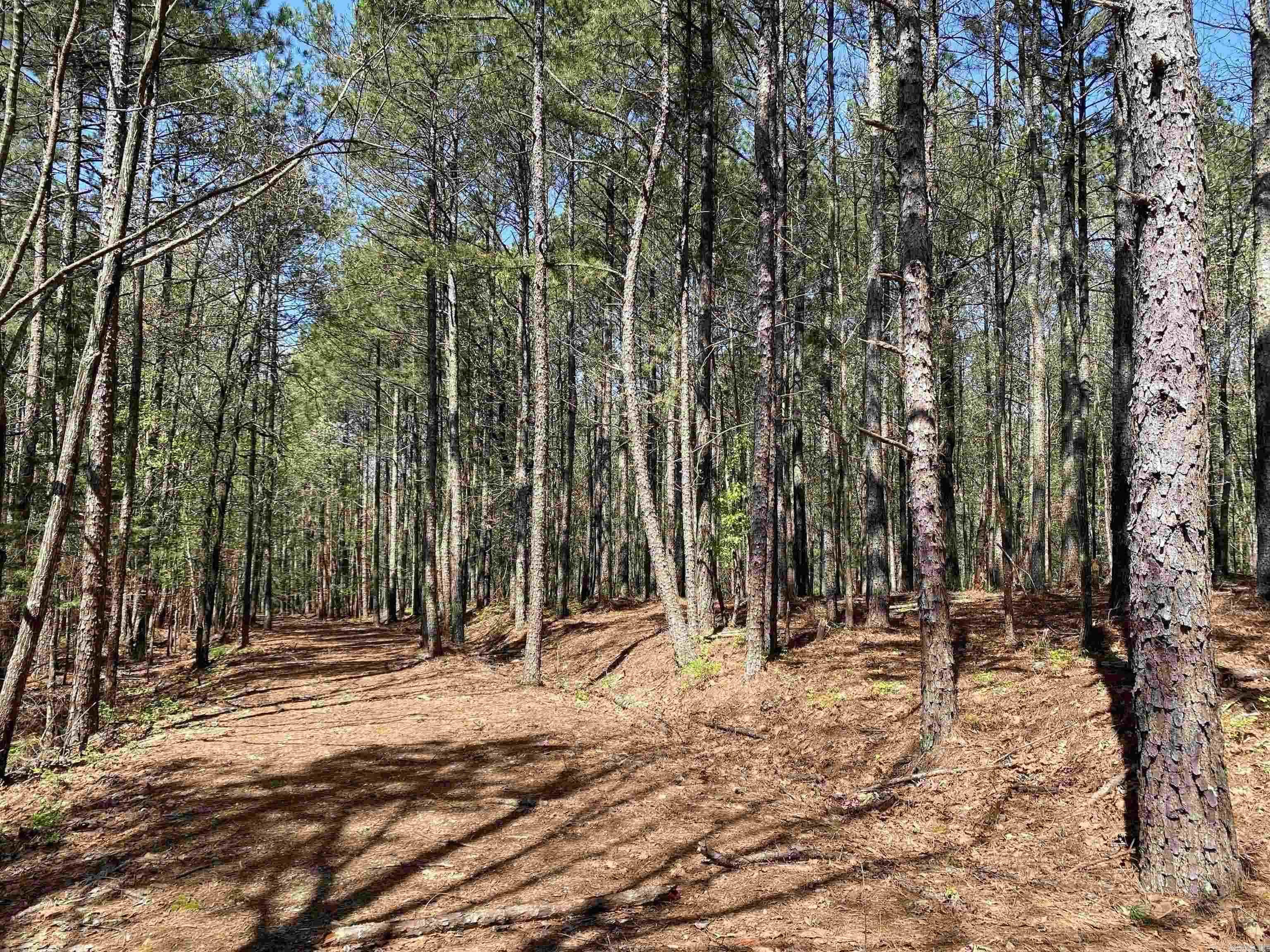 Woodland Springs - Land