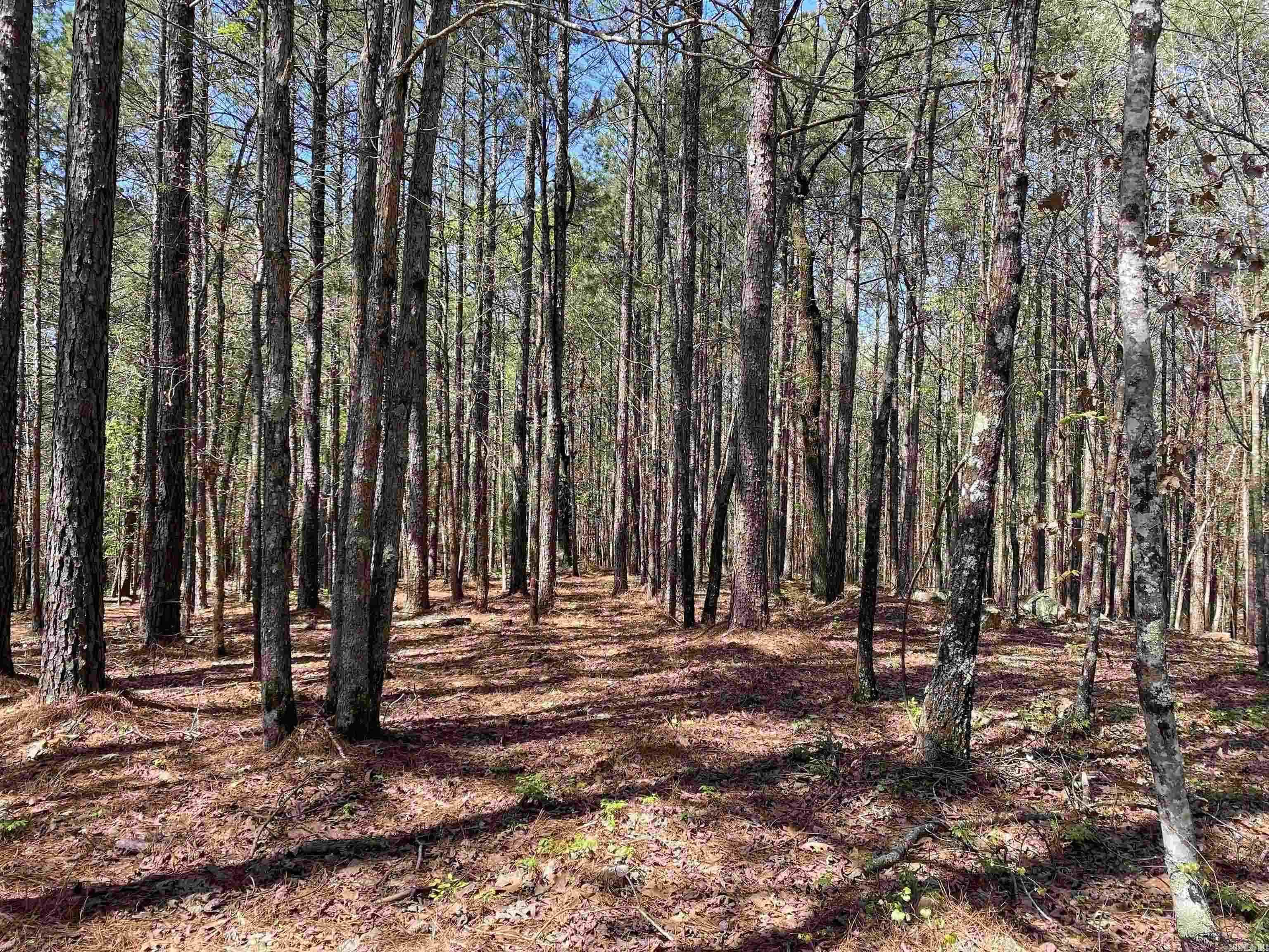 Woodland Springs - Land