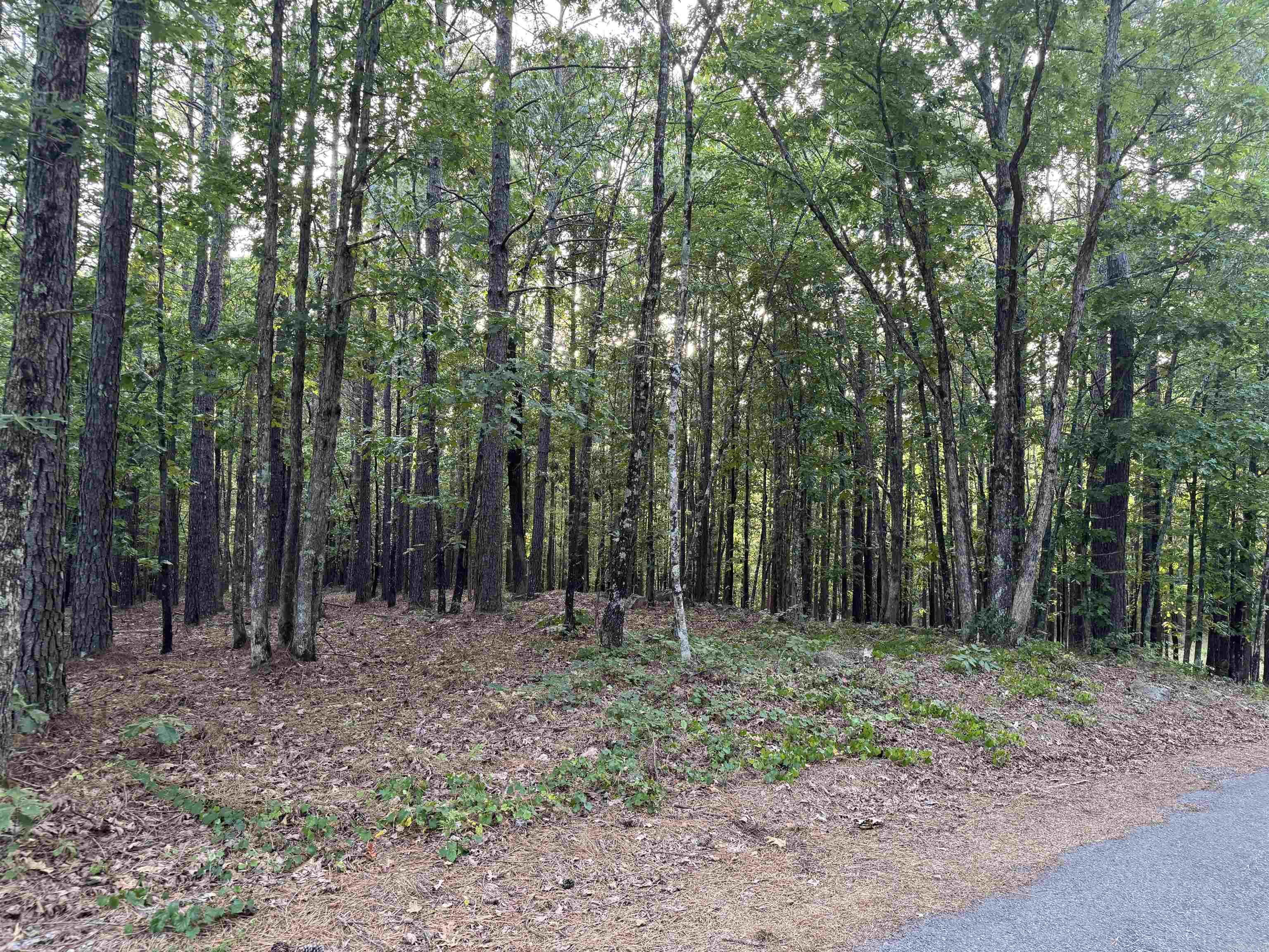 Woodland Springs - Land