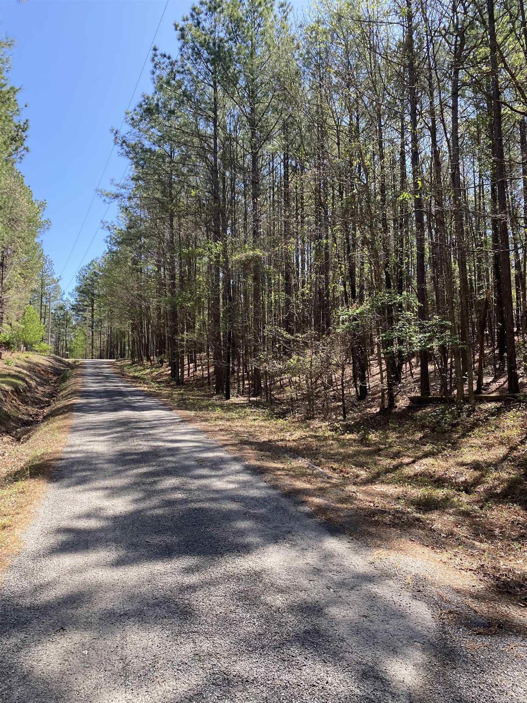 Woodland Springs - Land