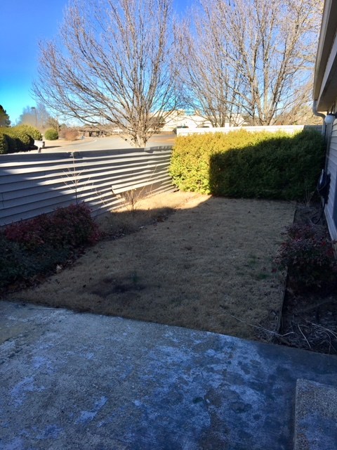 Lakewood Hills Condo - Residential
