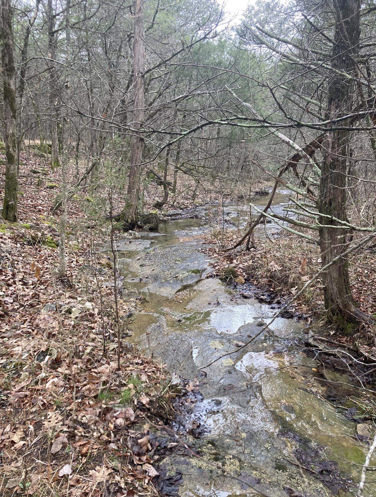 5-acre tract in the heart of the Ozarks and just a short drive from Harold Alexander Wildlife Management Area. Prime setup for a hunting retreat or off-grid getaway. The property features a wet weather creek that cuts through the land, providing a natural travel corridor for deer and other wildlife, along with a strong mix of timber cover and lightly open ground for stands or food plots. With gently rolling terrain and plenty of seclusion, it’s ideal for those looking to escape the crowds and enjoy the outdoors. This property is unimproved with no survey and no utilities currently in place, making it a true raw piece of ground ready to be shaped into your own private hunting spot.