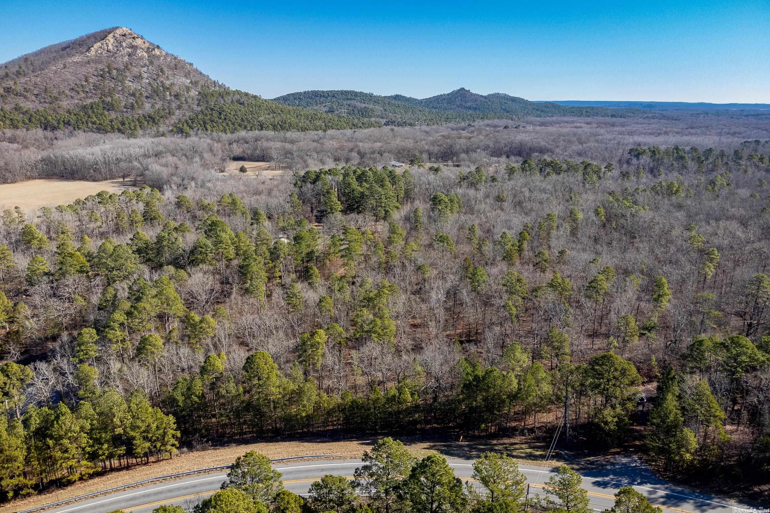Stunning 93 acres with beautiful homesites with views of Pinnacle Mountain from the ridge line or more level home sites on western side of property by the pond.  Mature trees and amazing pond located on property.  Would be an amazing opportunity to develop or for a very private estate. Please call Listing Agent for any questions or to show.    WILL NEED 4 WHEEL DRIVE to drive in the property and can easily walk the ridge line.