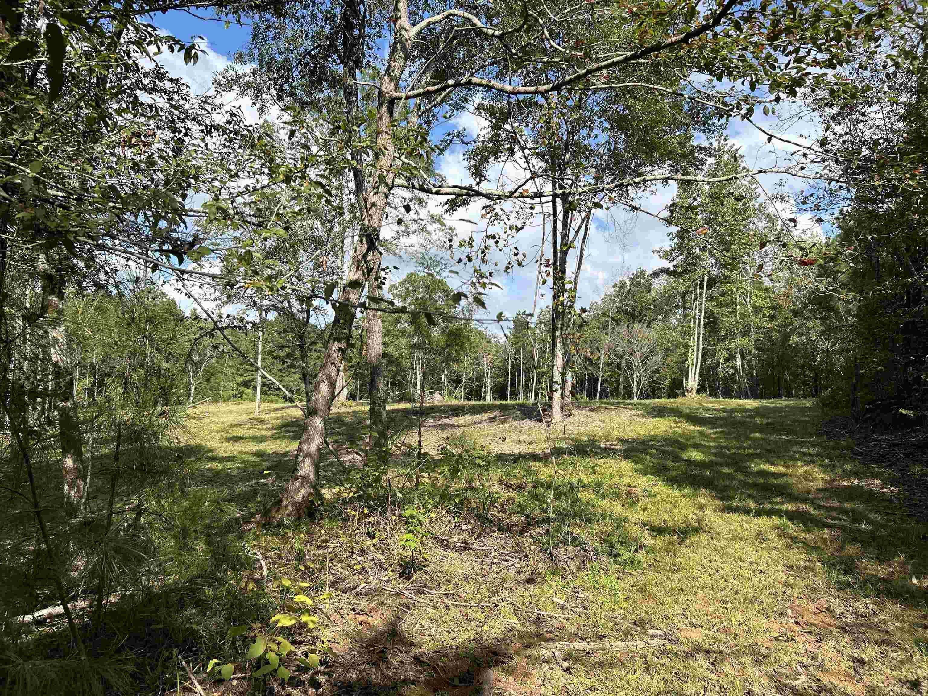 Beautiful hilltop homesite is waiting to build on, bring your plans!  Trees on this property were selectively removed to build a home and shop; otherwise the property is surrounded with mature trees and nice views.  Plenty of room to build a shop, barn, or pond.  Nice location within minutes of I-30, schools, hospital and shopping. Approximately 15 minutes from Lake Degray.  Utilities are not on site but located on Cedar Grove Road.