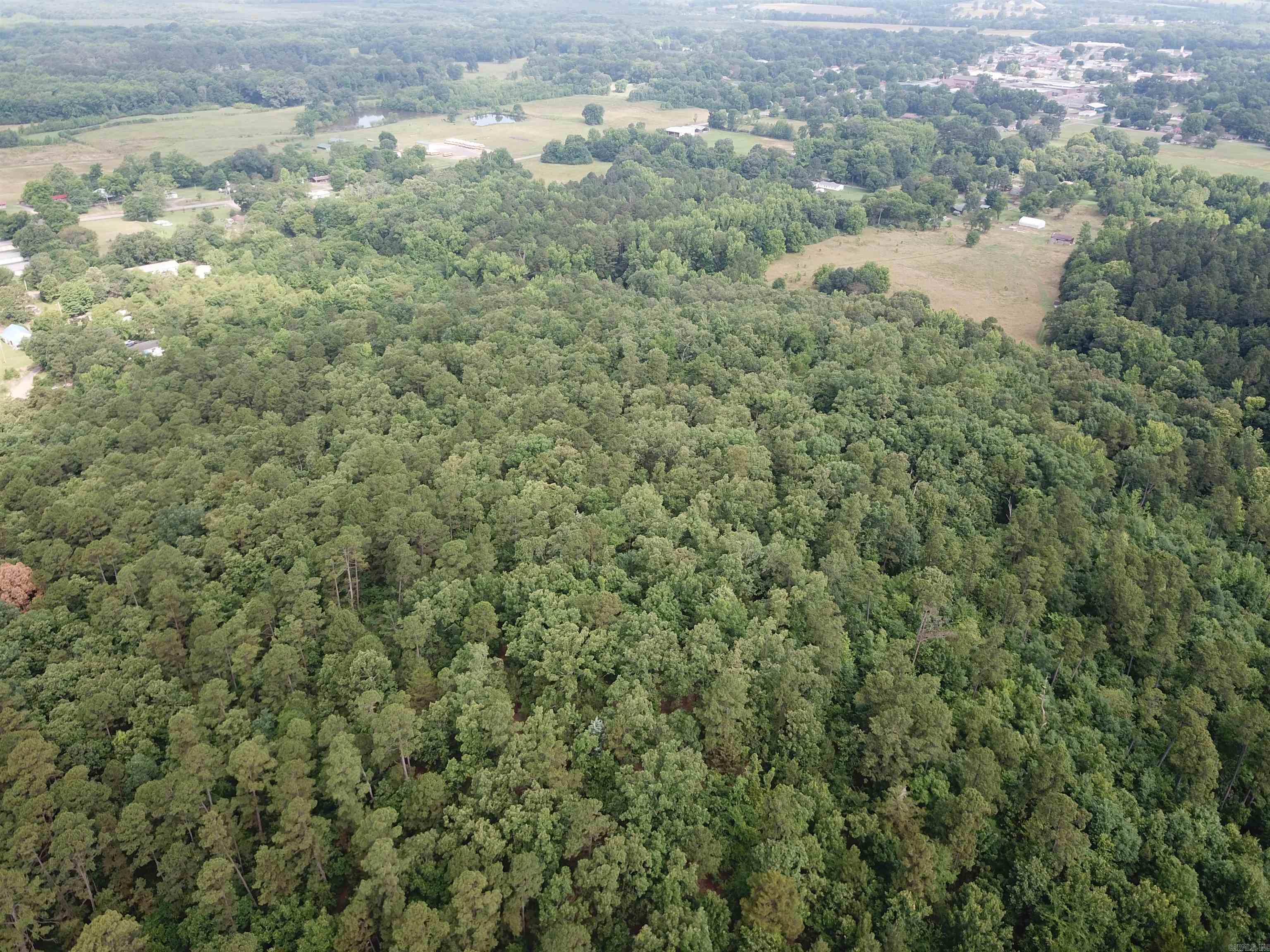 Located off of Forest Service Road 649 in Danville, this 34 +/- acre Timber Property would make the perfect homesite, hunting camp, or weekend getaway. All 34 acres are covered in mature pine and hardwood timber, with pockets of dense cover perfect for wildlife. The topography of the land makes a perfect access and build location. Deer are abundant in the area, and will have you looking forward to the fall hunting season every year. A large creek cascades down the hill, flowing over large rocks and creating picturesque landscapes. A summer stroll to the creek or a swim in one of beautiful blue holes of water will bring peace and relaxation at the end of the day. Two ATV trails are in place, allowing easy access to some of the most beautiful parts of the property, including the creek. If the 34 acres aren’t enough room to roam, the property shares a border with the Ouachita National Forest, giving access to hundreds of thousands of public acres. Electricity is nearby and available, and the property is just over a mile from Danville. Properties of this size with these features are in high demand. Don’t miss out, call and schedule your showing today!