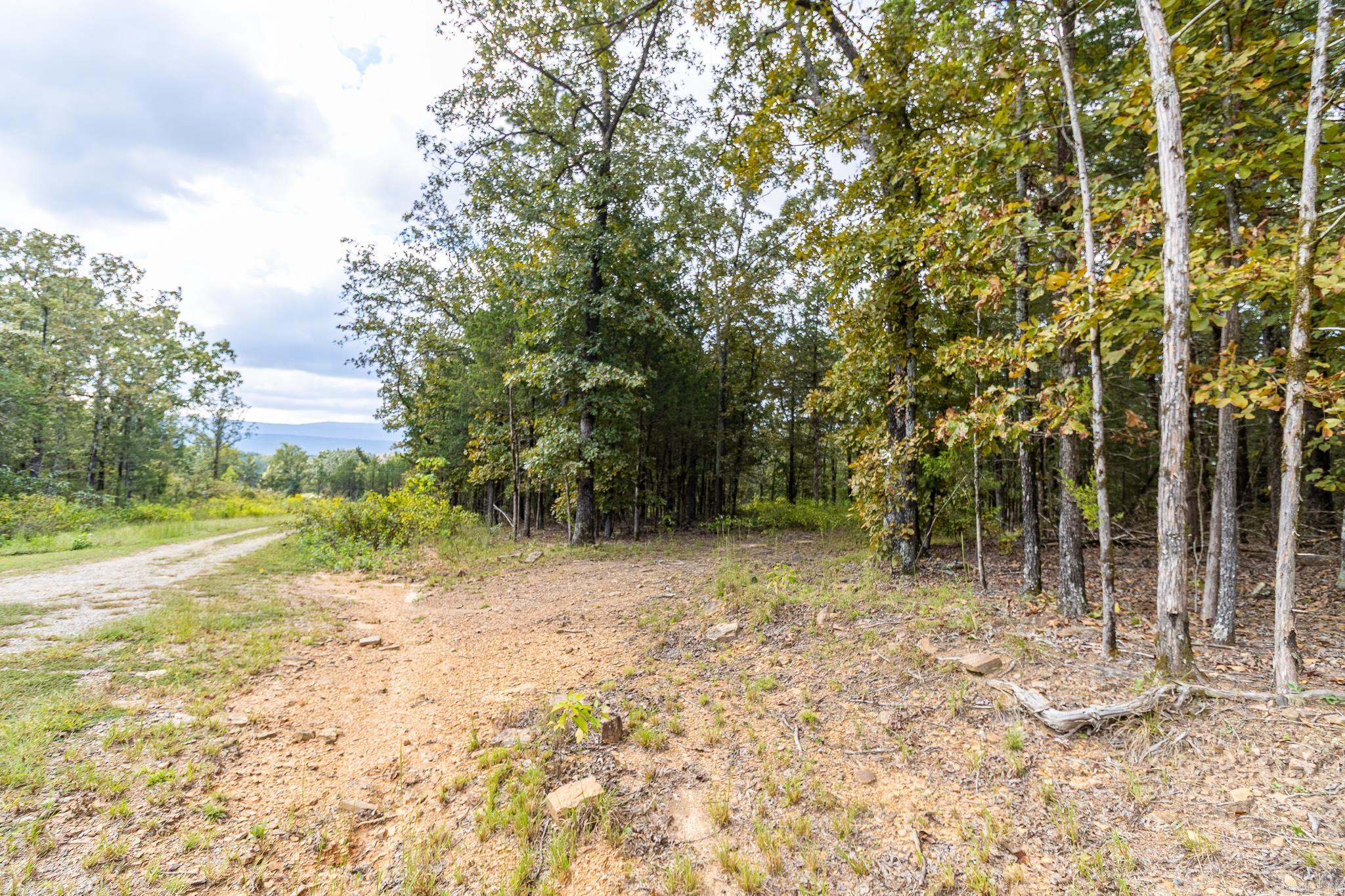 Build-ready 6.25-acre parcel on Thompson Bay Road in New Blaine. Electricity on property. Water meter in place — lines to run to build site. Wave fiber internet available. Storm shelter on-site. Perc test passed. These are the items buyers typically spend thousands putting in place after the fact — they're already here. Thompson Bay Road frontage. Near Shoal Bay Recreation Area. Access to Ozark National Forest trails. Lonesome D and Sorghum Hollow horse camps nearby. Lake Dardanelle within reach. Paris School District. $59,900.