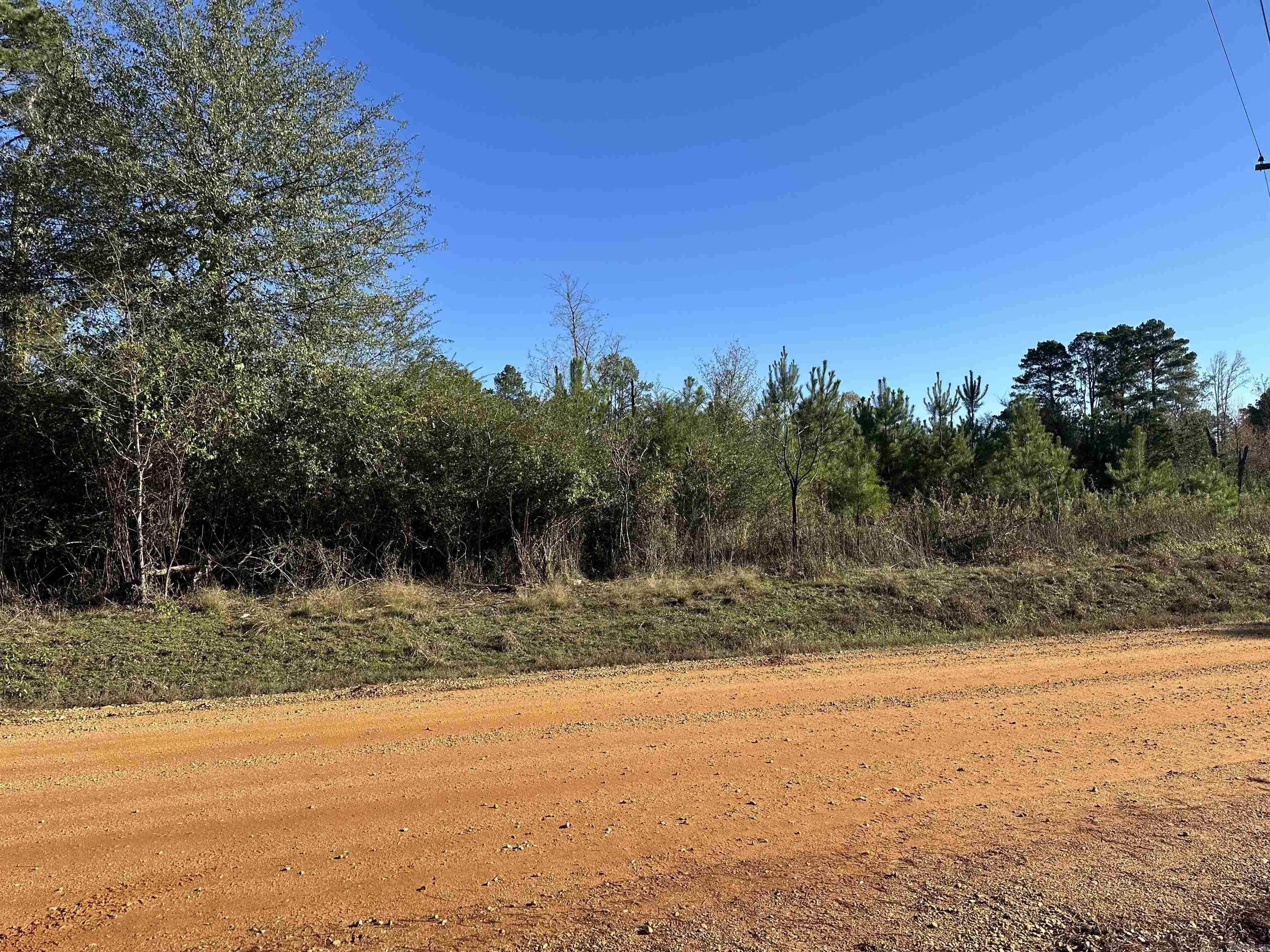 The Judge Roberts Road South Tract is in the west-central part of Bradley County, Arkansas approximately 6.5 miles southwest of Warren.  Access to the property is good from Judge Roberts Road, a county-maintained gravel road. There are typical rural utilities (electric, phone, and rural water) on this road. This tract was planted with loblolly pine in 2020 that provides a great timber investment! Whether you are looking for a place to build your dream home, convert the plantation to pasture and build a farm, keep the tract as a timberland investment, or just looking for a place to hunt or just ‘get away’, check on the ‘Judge Roberts Road South Tract’!