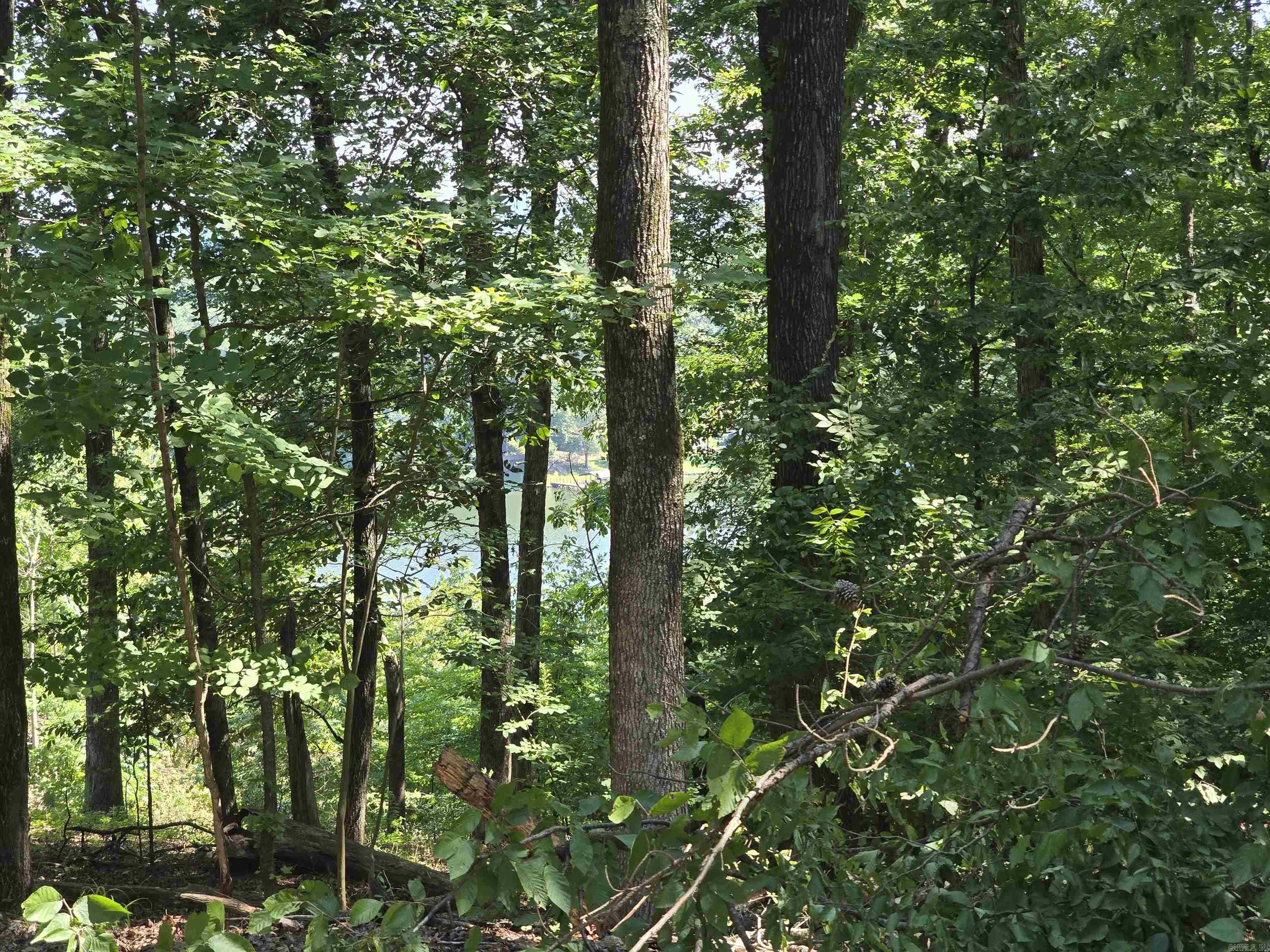 Imagine building your dream home on a premium lot that offers outstanding, panoramic lake views, perfectly positioned within a vibrant and active resort-style community. This property combines the tranquility of a lakeside retreat with the community amenities right at your doorstep. Key Community Features Golf & Recreation: Enjoy pristine golf course just minutes away, perfect for spending your mornings on the green.  Boating & Lake Access: Access to the water ensures your boat is always ready for a day of cruising, fishing, or water sports.  Resort Amenities: Dive into the sparkling community swimming pool or participate in a robust calendar of community activities.  Leisure & Learning: Walk over to the local community library for a quiet afternoon of reading and relaxation.