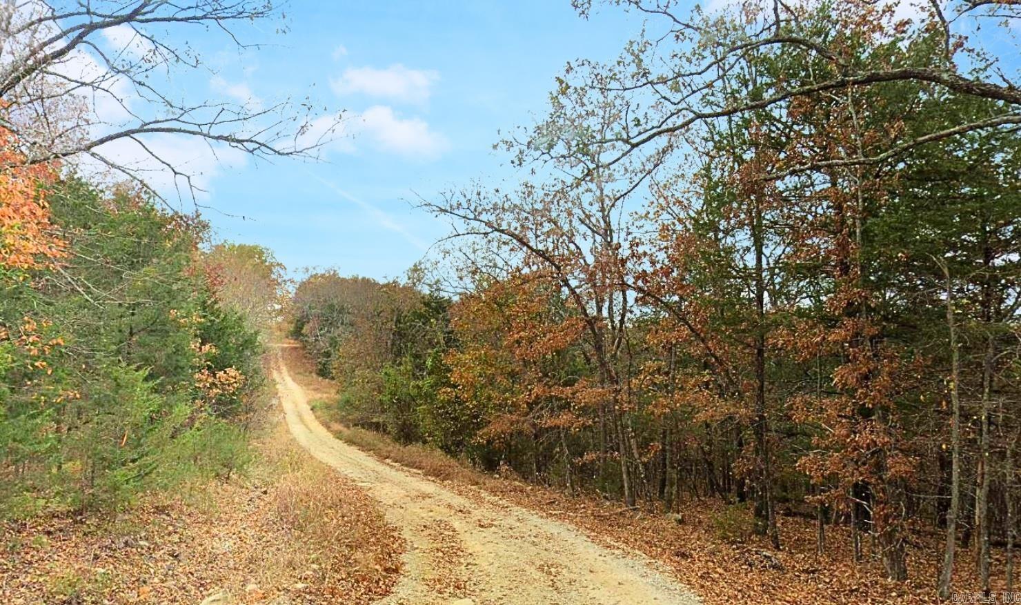 Shannon Estates - Land