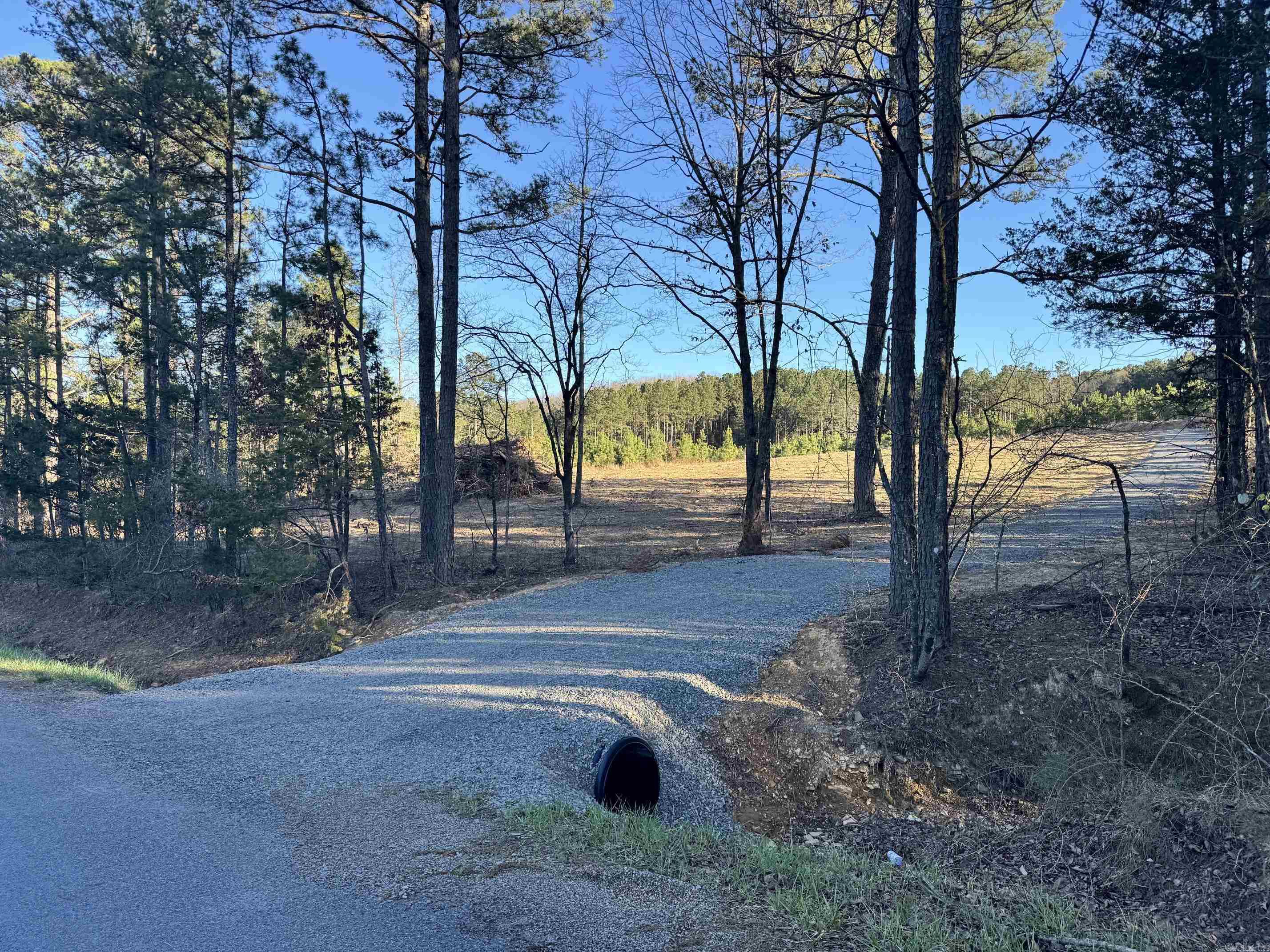 Gravel drive and small cleared area for a home are already on this acreage in Quitman. This property is just six minutes from Quitman, and only 16 minutes to the Narrows marina on Greers Ferry Lake. Clear the baby pines off or let them grow for a future investment. There are trails cut through the property, and a small wet-weather creek runs down near Tarter Hill Road. Lots of white-tailed deer in the area.
