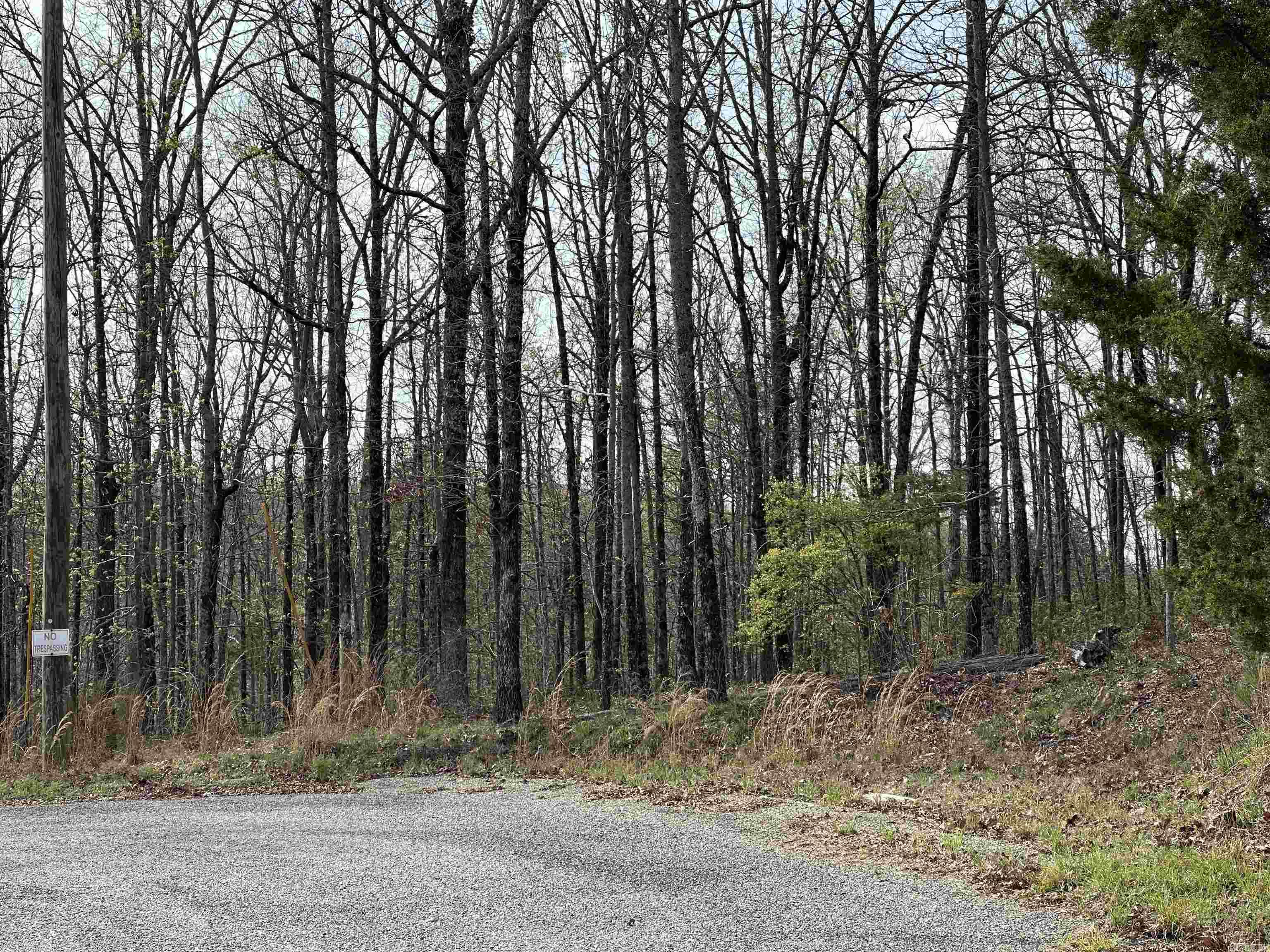 Rocky Branch Estates - Land
