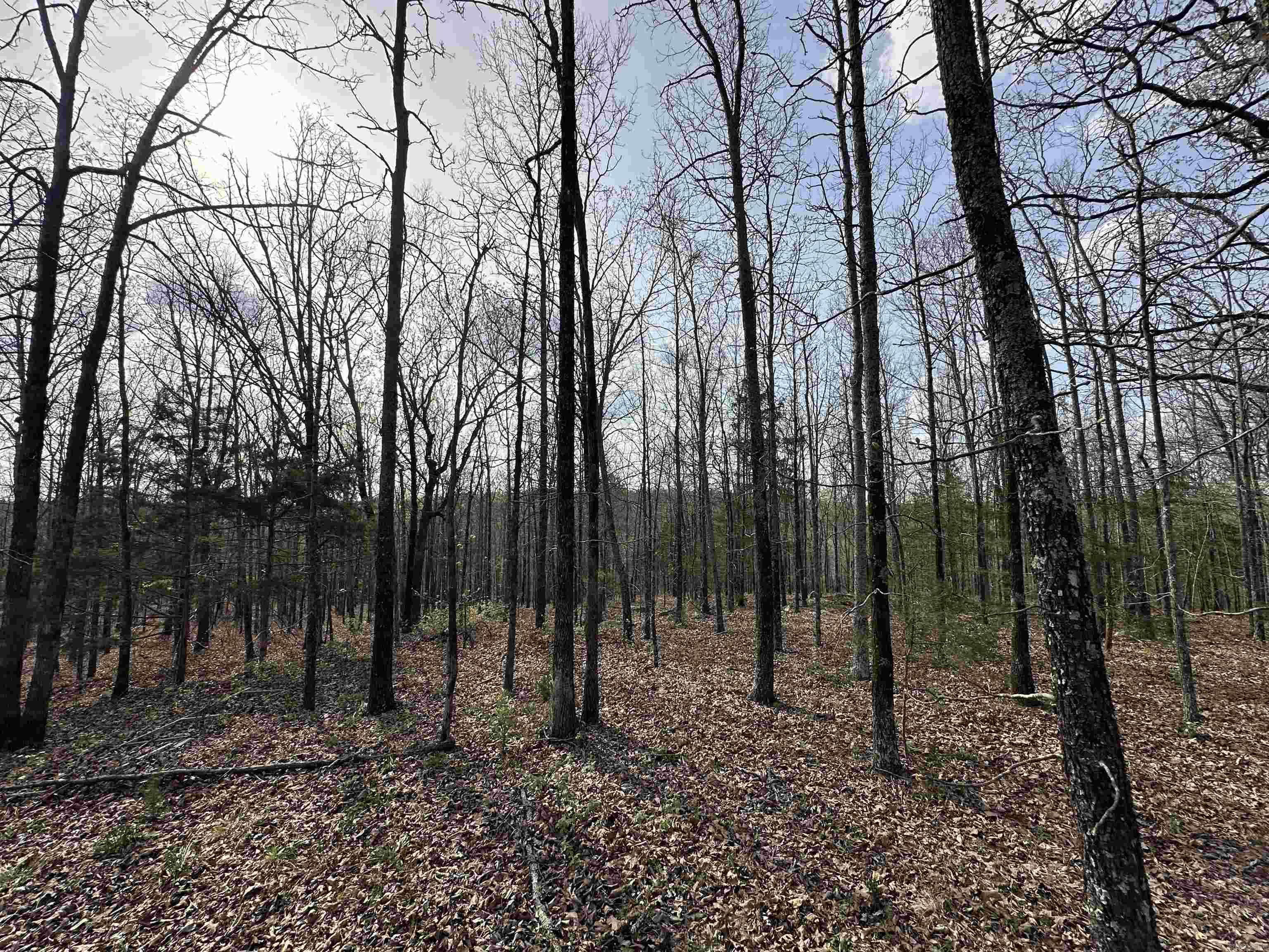 Beautiful large lot in Beebe, great rural location. Property does have restrictions. No Mobile Homes allowed. AGENTS SEE REMARKS