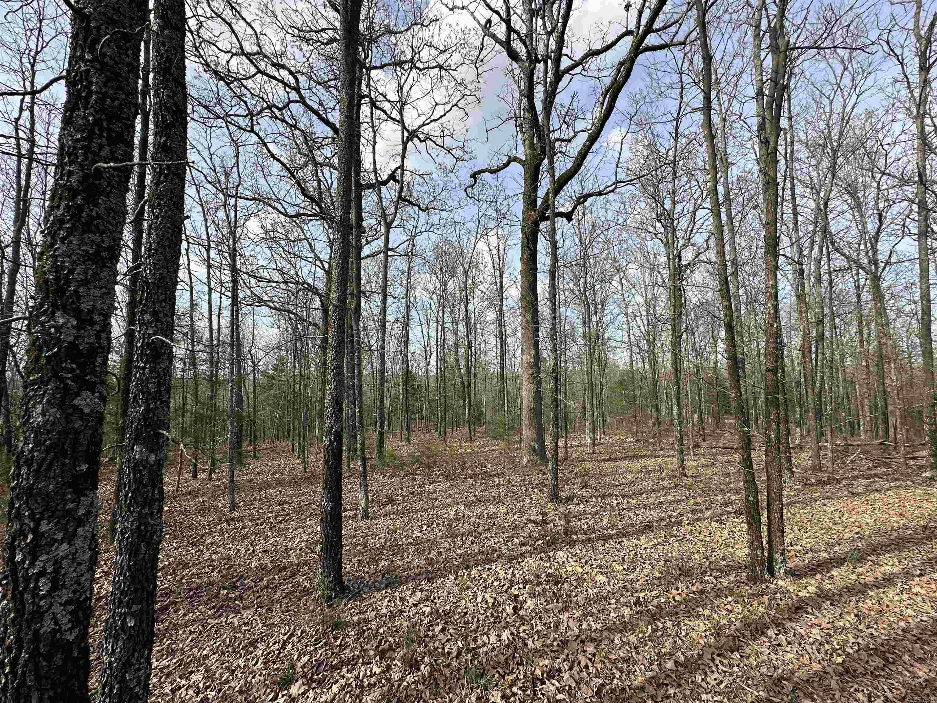 Rocky Branch Estates - Land