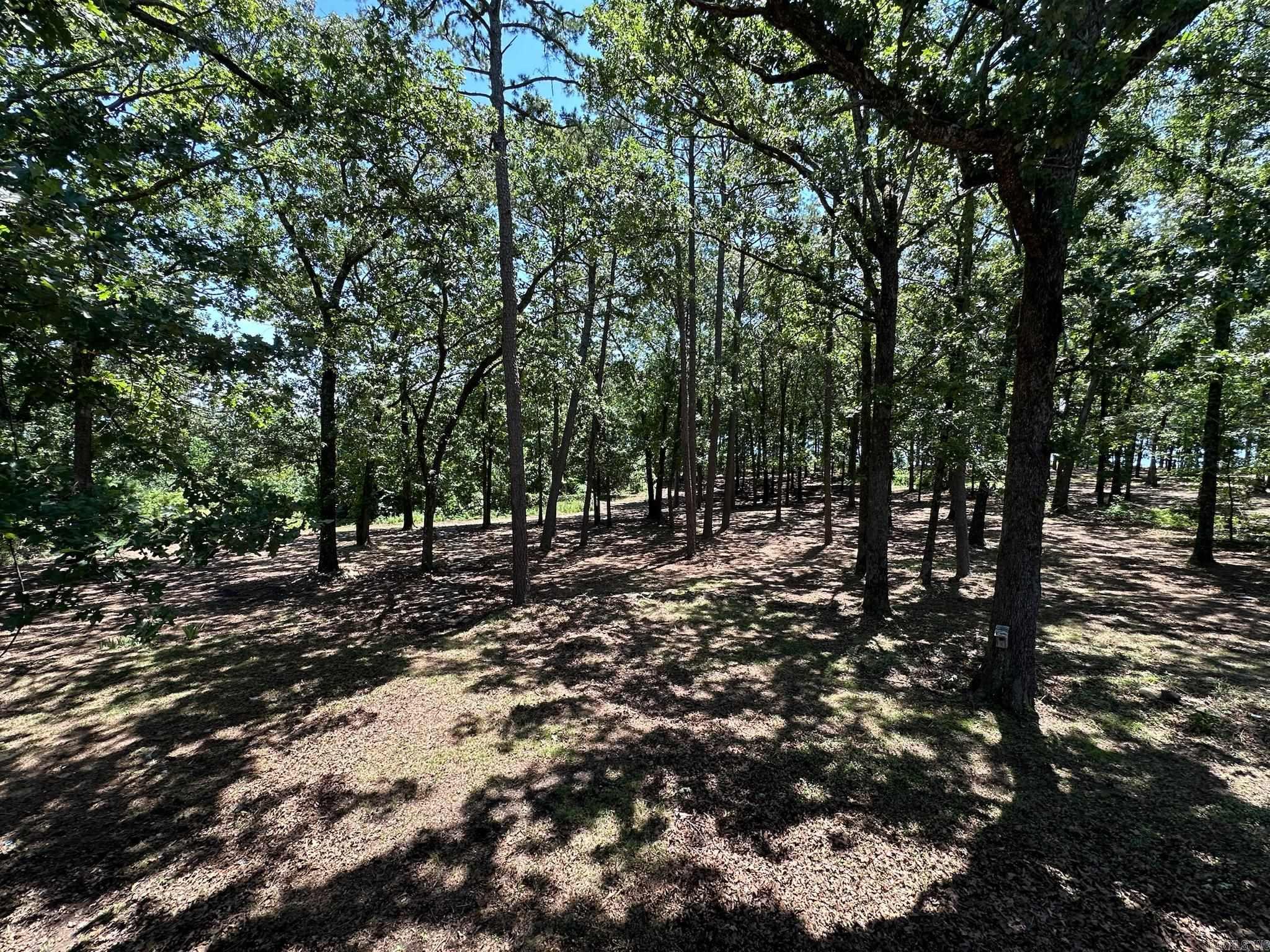 Potters Point - Residential