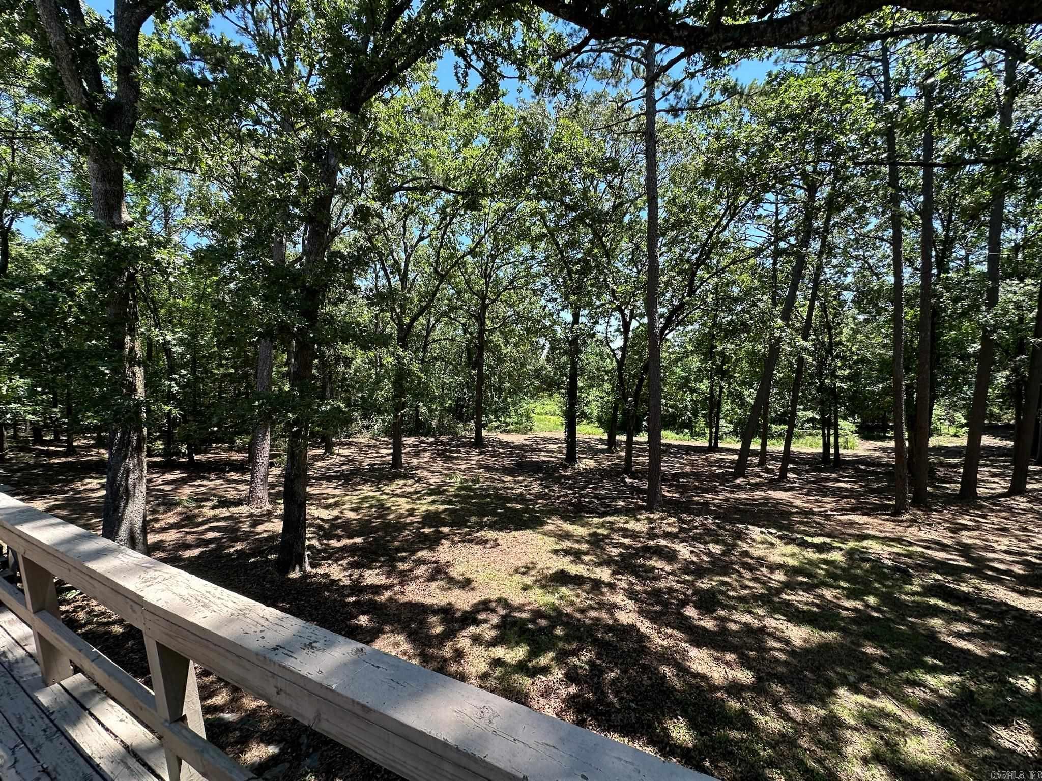 Potters Point - Residential