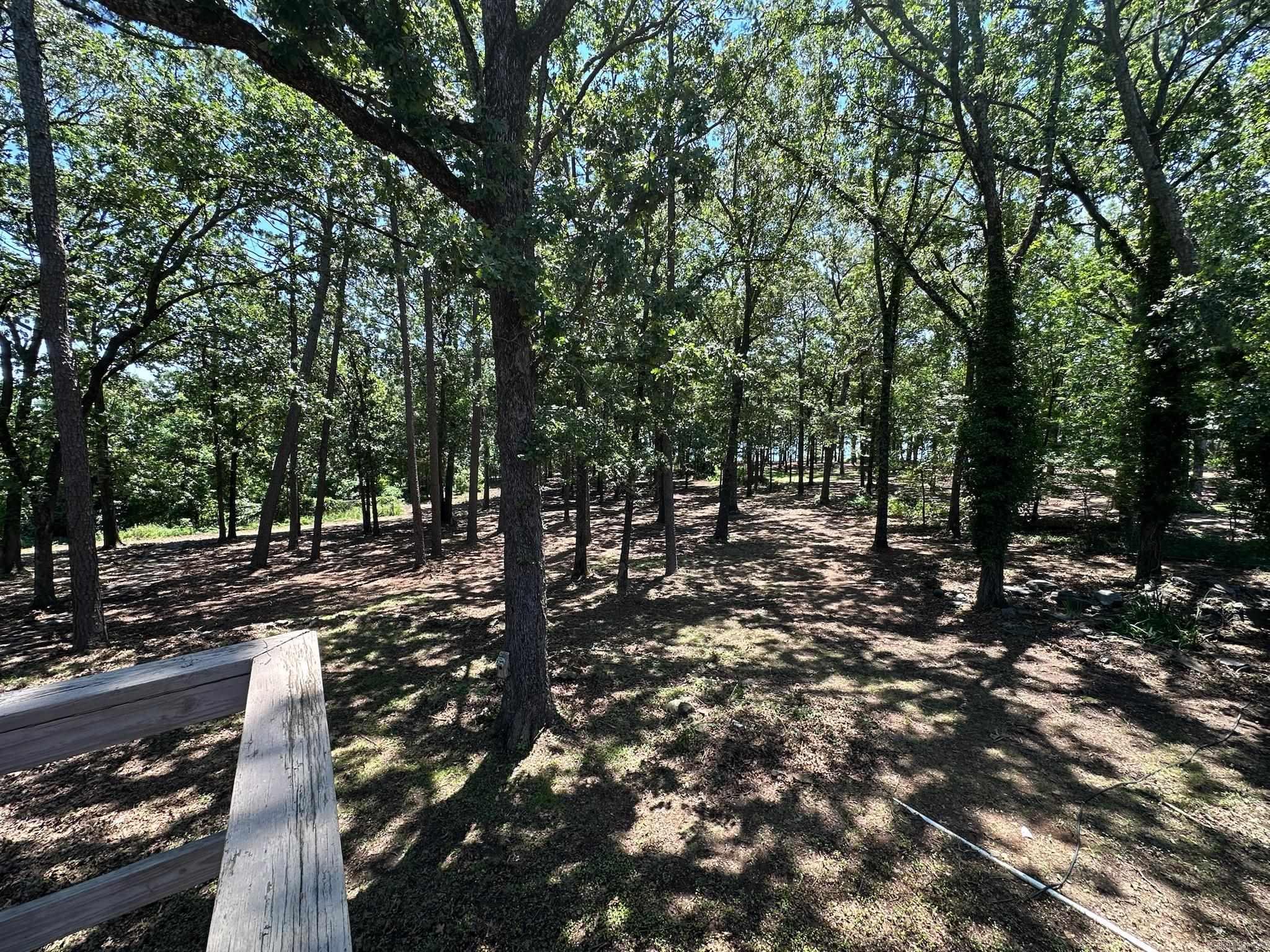 Potters Point - Residential