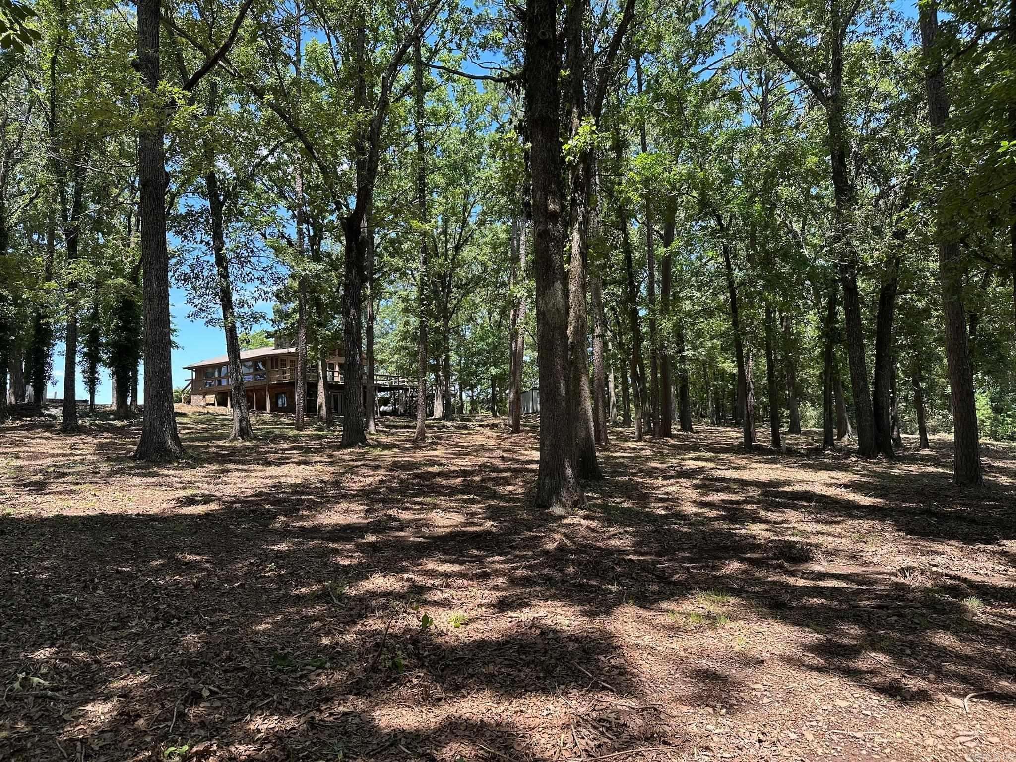 Potters Point - Residential