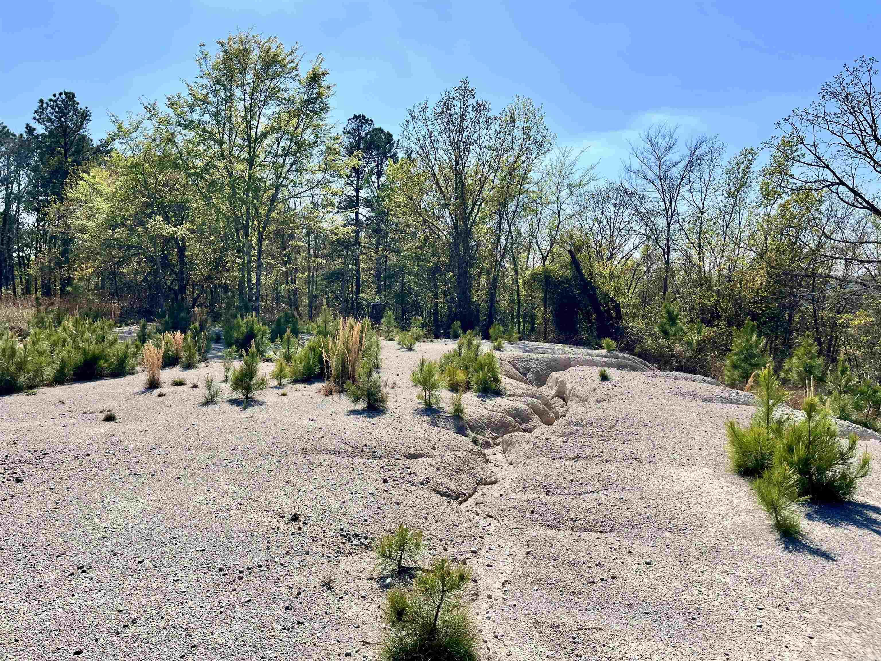 Hi, I’m 4664 E Grand Avenue—and I’m not your average piece of land. I offer just under 30 acres of rolling, hilly terrain, creating a natural landscape that feels both private and expansive. With a beautiful mix of wildlife, mature trees and seasonal blooms, I bring a sense of seclusion while still being conveniently located. I carry a bit of history too, with old crystal mining areas tucked throughout my landscape, adding a unique touch you won’t find just anywhere. Whether you’re looking for a private retreat, recreational land, or a place to bring your vision to life, I just might be the one you’ve been searching for. Come check me out!