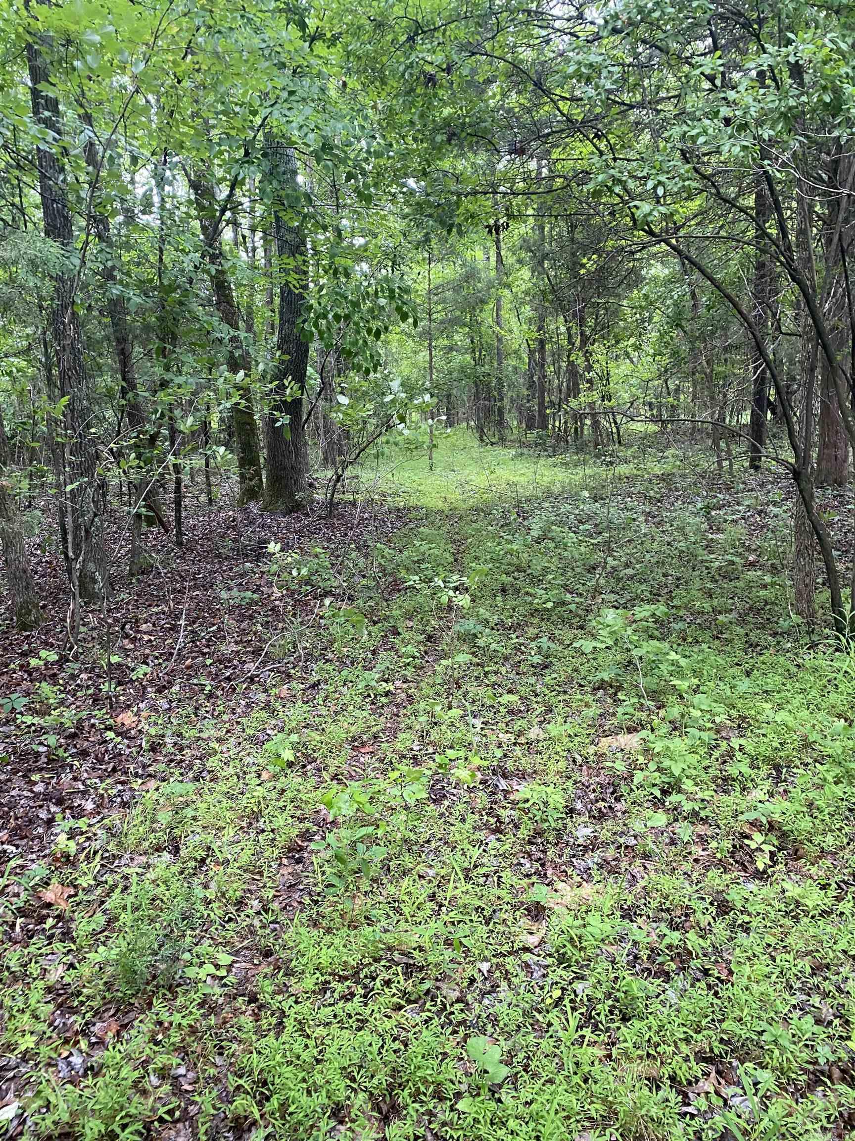 Lot 3 of 4. 10 Acres of wooded land, would be a great location to build your new home, This place is loaded with deer and turkey!  It has two creeks on the property and Big creek runs from Lake Frierson, causing it to be filled with fish as well! Seller has 40 acres total for sale in multiple tracts!