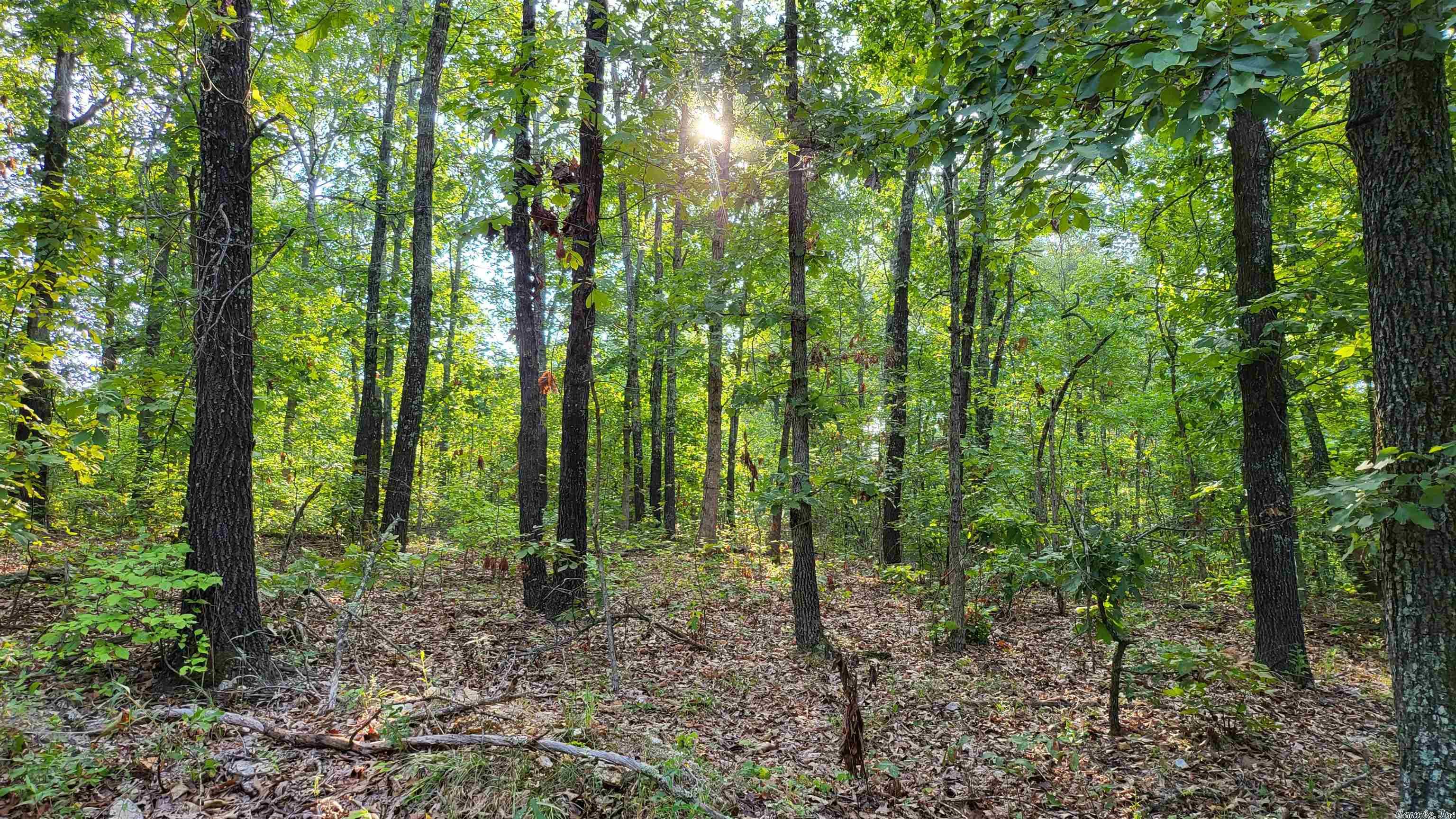 Not in Subdivision - Land