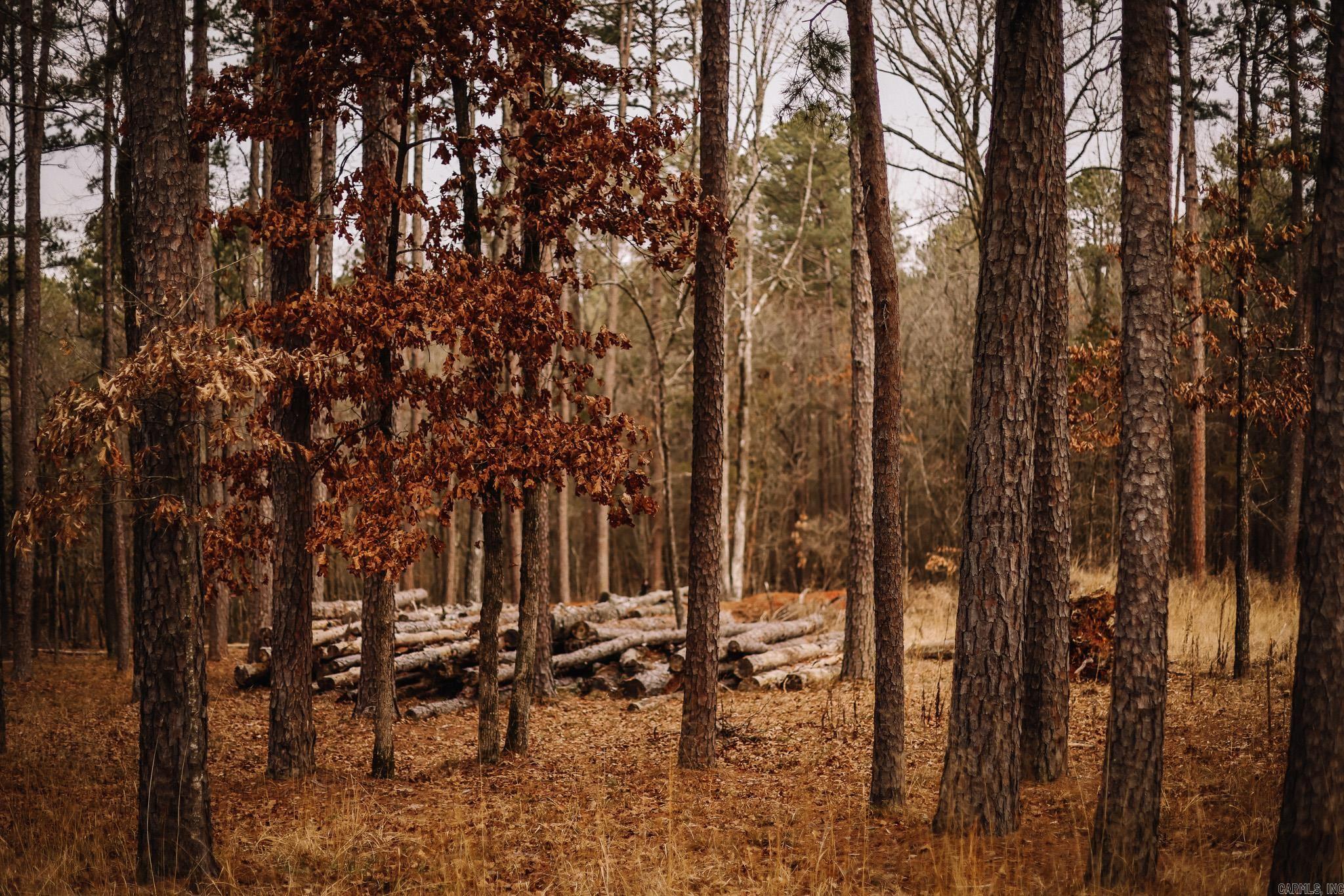 Driftwood Shores Estates - Land