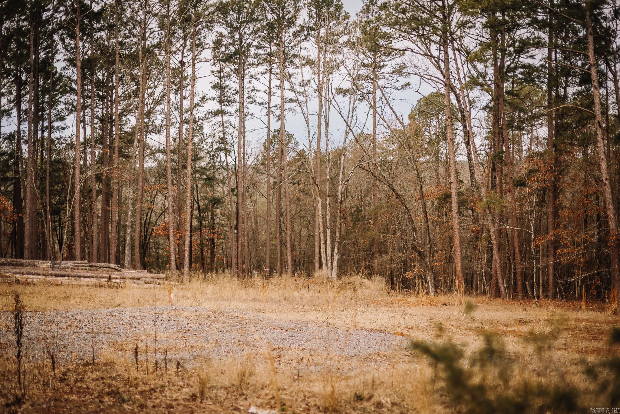 Driftwood Shores Estates - Land